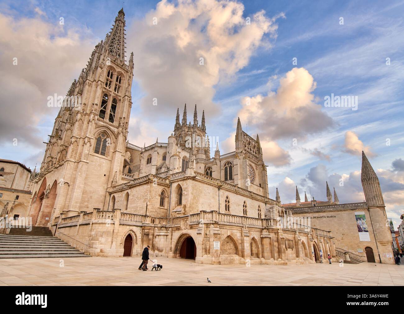 Plaza Rey San Fernando, Cathédrale de Santa María, gothique français, Burgos, Castille-et-León, Espagne, Europe Banque D'Images