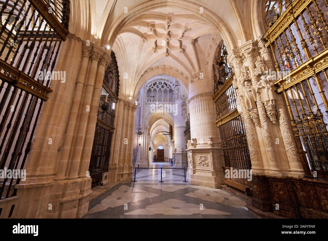 Cathédrale de Santa María, gothique français, Burgos, Castille-et-León, Espagne, Europe Banque D'Images