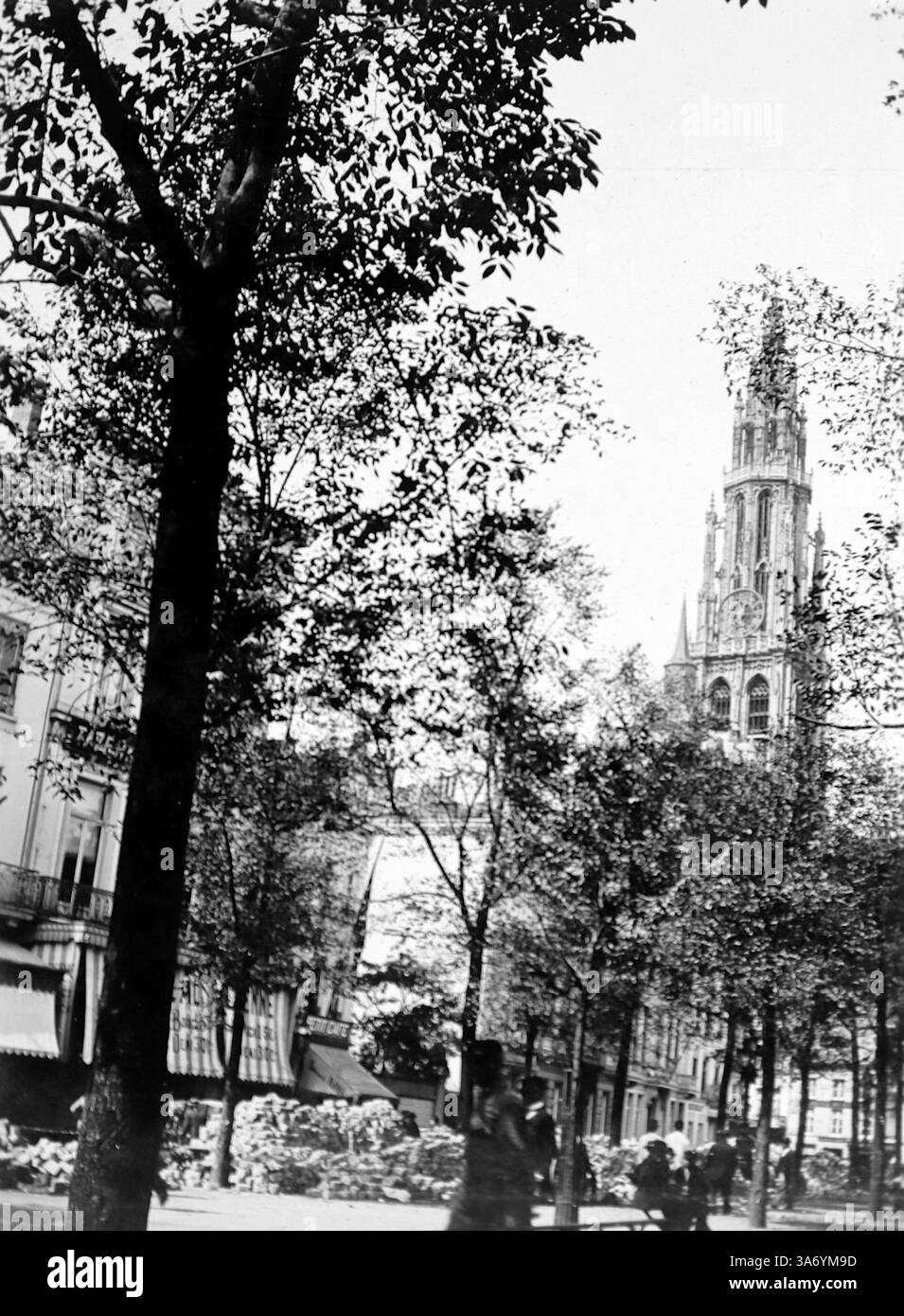 Place Vert, Anvers, Belgique : cela semble faire référence à Groenplaats qui se trouve dans la région flamande de la ville. Sur cette image, la tour gothique de la cathédrale notre-Dame peut être vue au-delà des arbres. D’après une collection de photographies d’une tournée européenne familiale qui s’est déroulée en 1899. Les photographies originales étaient d'environ 3 ½ x 2 ½ pouces et présentent une vue intéressante des coutumes, des modes et de l'histoire sociale de la fin de la période victorienne. Banque D'Images