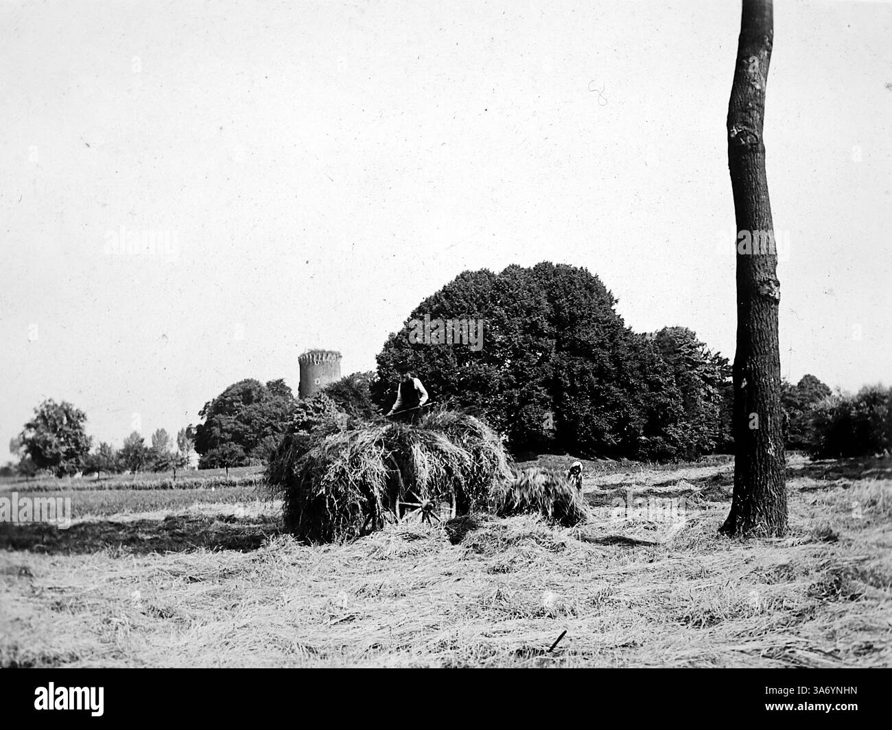 Un homme sur une botte de foin récoltant dans une zone agricole à Linn, un quartier historique de la ville de Krefeld, situé dans l'état de Rhénanie du Nord-Westphalie, Allemagne. En arrière-plan se trouve la tour d'un vieux château. D’après une collection de photographies d’une tournée européenne familiale qui s’est déroulée en 1899. Les photographies originales étaient d'environ 3 ½ x 2 ½ pouces et présentent une vue intéressante des coutumes, des modes et de l'histoire sociale de la fin de la période victorienne. Banque D'Images