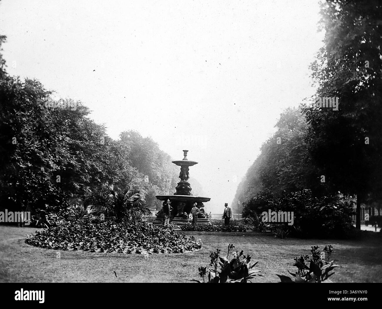 Jardins ornementaux et cours d'eau à Königsallee, affectueusement connu sous le nom de « Kö ». C'est le boulevard le plus célèbre de Düsseldorf. Aujourd'hui, c'est une rue commerçante luxueuse bordée de boutiques de mode haut de gamme, de magasins phares et de cafés élégants. D’après une collection de photographies d’une tournée européenne familiale qui s’est déroulée en 1899. Les photographies originales étaient d'environ 3 ½ x 2 ½ pouces et présentent une vue intéressante des coutumes, des modes et de l'histoire sociale de la fin de la période victorienne. Banque D'Images