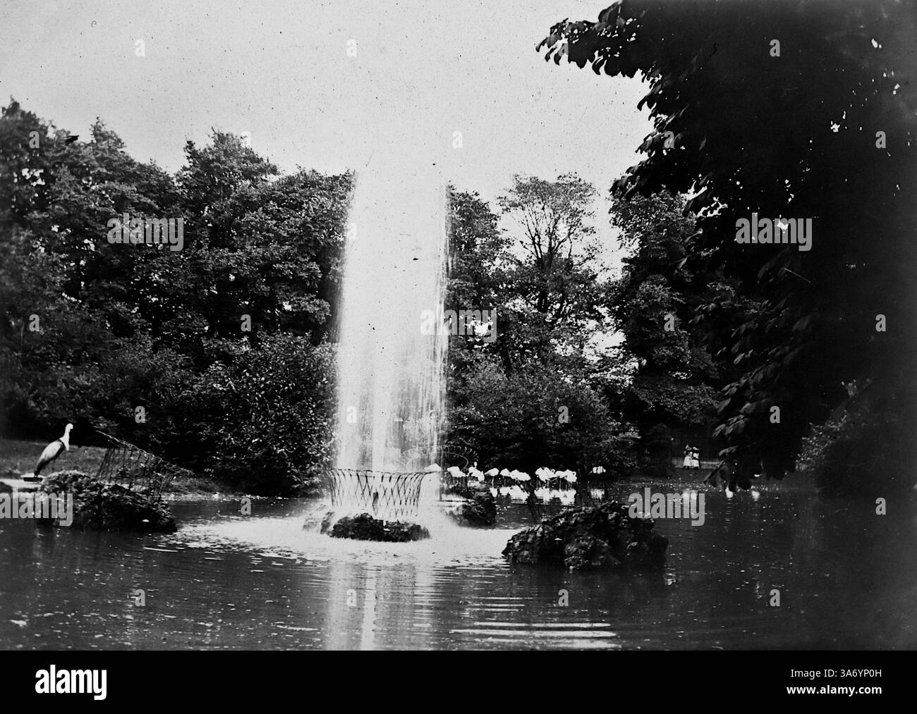 Une fontaine d'eau dans les jardins zoologiques de Köln, en Allemagne, connue sous le nom de Cologne en anglais. C'est une ville de l'ouest de l'Allemagne située le long du Rhin. D’après une collection de photographies d’une tournée européenne familiale qui s’est déroulée en 1899. Les photographies originales étaient d'environ 3 ½ x 2 ½ pouces et présentent une vue intéressante des coutumes, des modes et de l'histoire sociale de la fin de la période victorienne. Banque D'Images