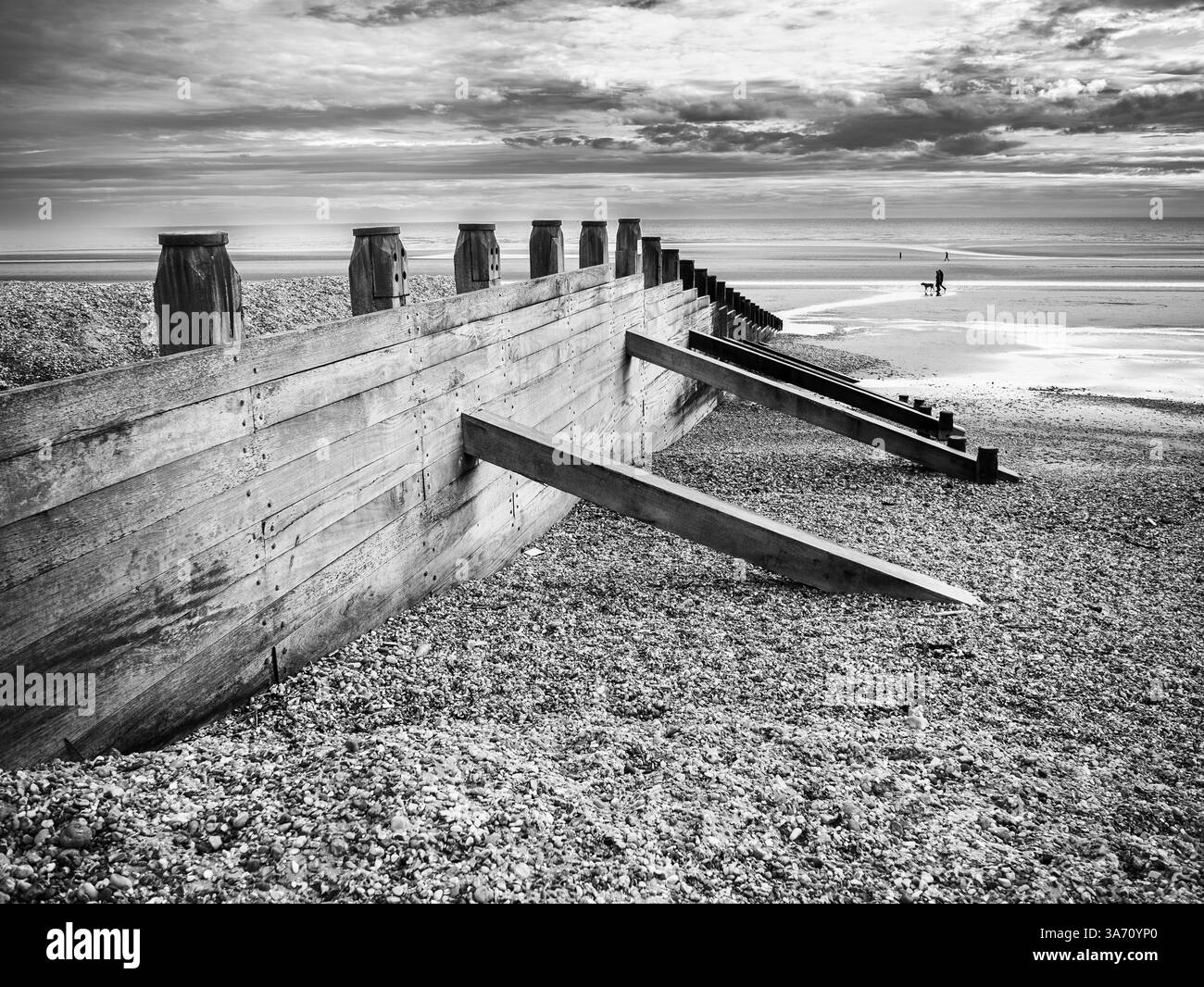 Structure de défense maritime, groynes en bois, Camber Sands, East Sussex, Angleterre, dans un ton noir et blanc Banque D'Images