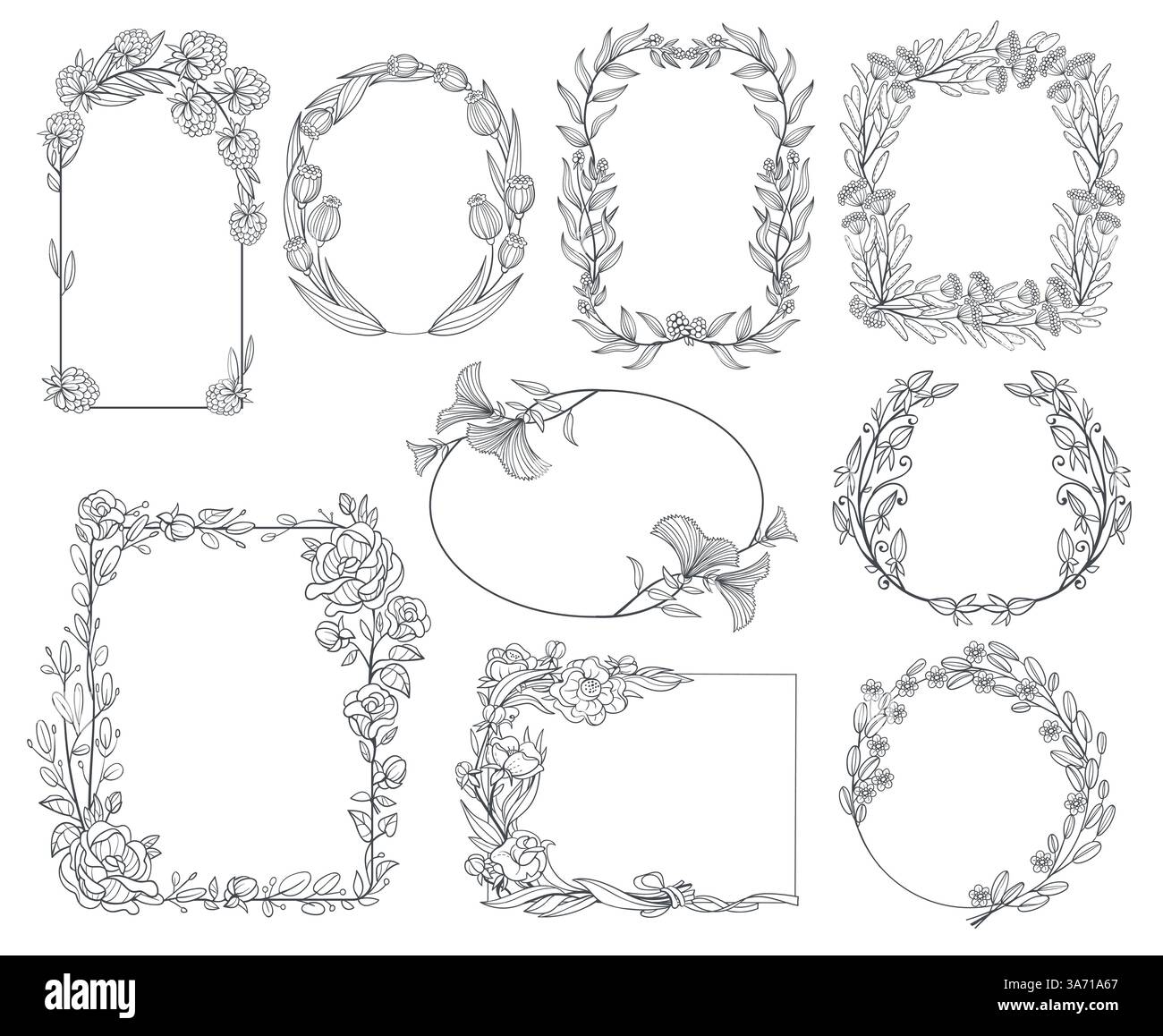 Cadres botaniques élégants. Frontières de différentes formes, branches florales, éléments de design vintage, plantes linéaires dessinées à la main, décoratif élégant isolé Illustration de Vecteur
