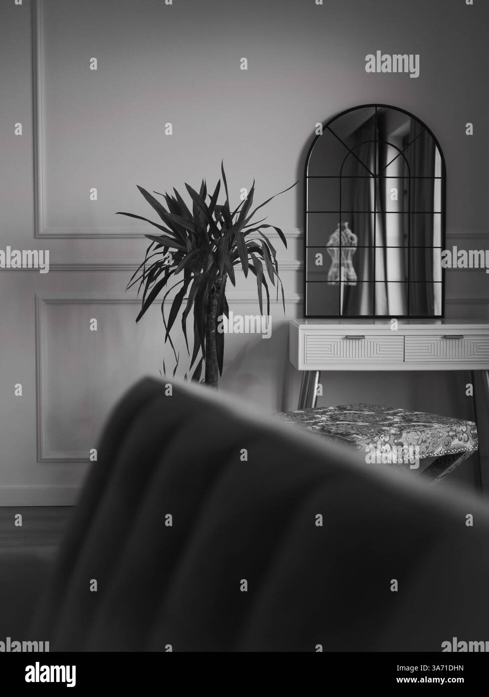 Photo en noir et blanc d'une pièce avec un miroir et une plante. La chambre présente un design moderne et minimaliste Banque D'Images