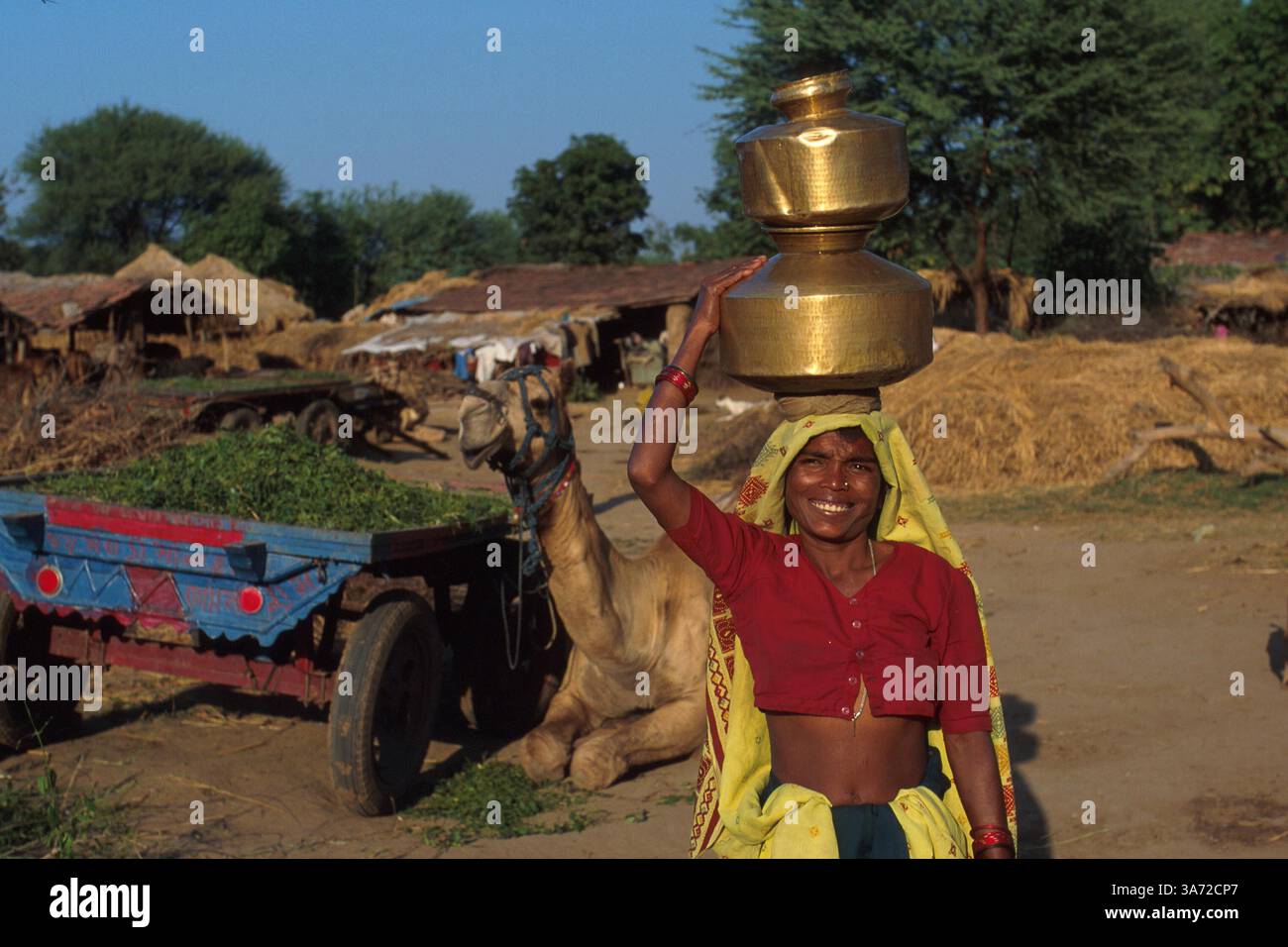 JANVIER 1, 2011 - CETTE FEMME DU VILLAGE CHARGE LA TÊTE DES RÉCIPIENTS DE LAIT. CES CONTENEURS EN LAITON SONT REMPLIS ET AMENÉS À LA COOPÉRATIVE LAITIÈRE DU VILLAGE DEUX FOIS PAR JOUR, APRÈS LA TRAITE DE SON BÉTAIL. GUJURAT EST UN IMPORTANT PRODUCTEUR DE PRODUITS LAITIERS ET CHOCOLATÉS. ICI, DANS LE VILLAGE DE RUN DANS LA CAMPAGNE DE L'ÉTAT DE GUJURAT, À ENVIRON 60 MILES AU SUD D'AHMEDABAD. CE VILLAGE ABRITE UN PEUPLE BERGER NOMADE TRADITIONNEL QUI EN RAISON DU MANQUE DE TERRES DE PÂTURAGE OG POUR LEUR BÉTAIL SONT DEVENUS PLUS INSTALLÉS..K32132PQ VILLAGE DE GUJURATI, Banque D'Images