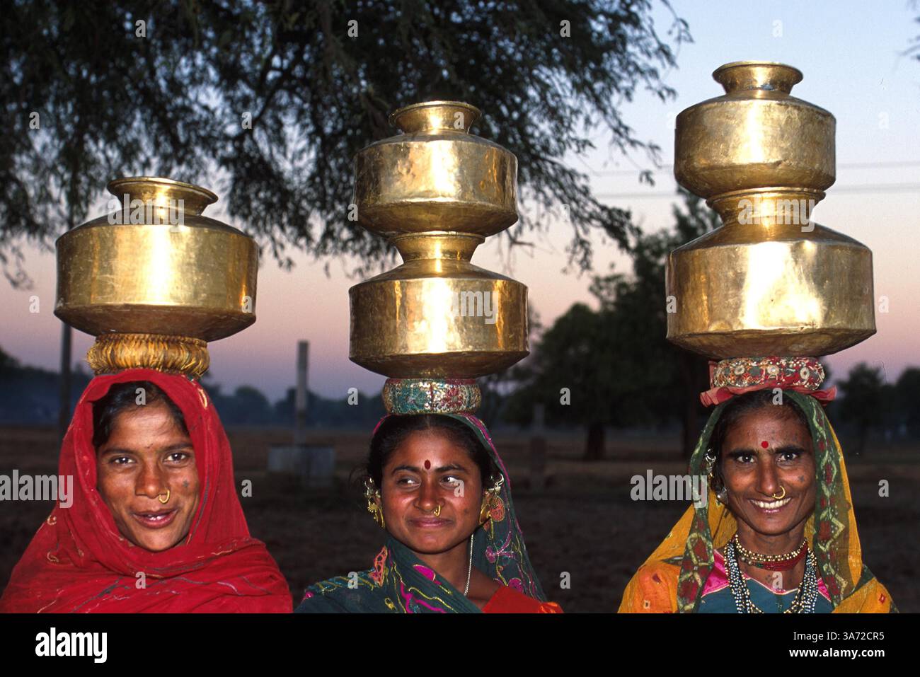 1ER JANVIER 2011 - LES VILLAGEOIS CHARGENT DES CONTENEURS DE LAIT À DESTINATION DES PRODUITS LAITIERS. CES CONTENEURS EN LAITON SONT REMPLIS ET AMENÉS À LA COOPÉRATIVE LAITIÈRE DU VILLAGE DEUX FOIS PAR JOUR, APRÈS LA TRAITE DE SON BÉTAIL. GUJURAT EST UN IMPORTANT PRODUCTEUR DE PRODUITS LAITIERS ET CHOCOLATÉS. ICI, DANS LE VILLAGE DE RUN DANS LA CAMPAGNE DE L'ÉTAT DE GUJURAT, À ENVIRON 60 MILES AU SUD D'AHMEDABAD. CE VILLAGE ABRITE UN PEUPLE BERGER NOMADE TRADITIONNEL QUI EN RAISON DU MANQUE DE TERRES DE PÂTURAGE OG POUR LEUR BÉTAIL SONT DEVENUS PLUS INSTALLÉS.. ...K32132PQ Banque D'Images