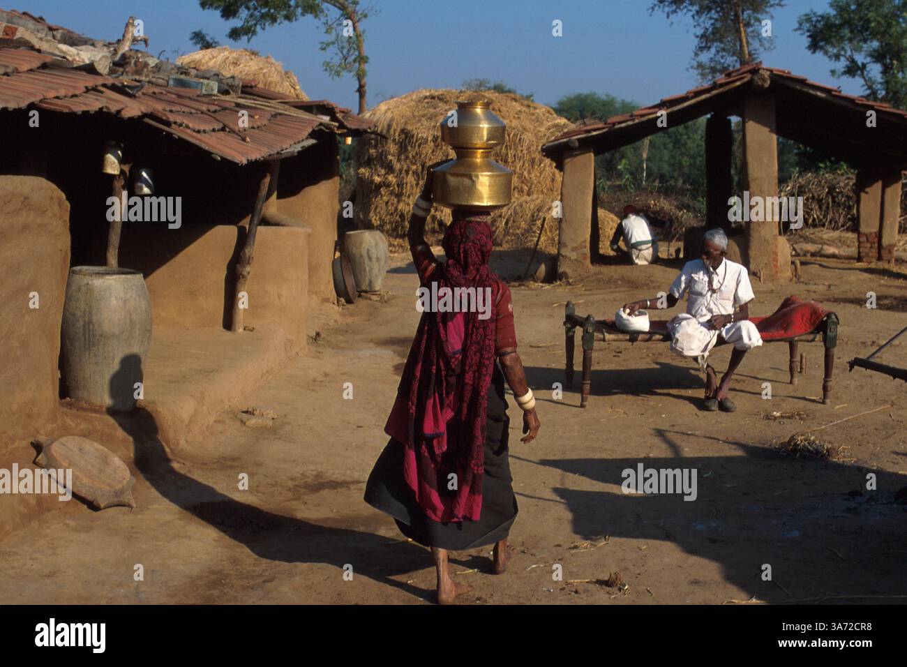 JANVIER 1, 2011 - CETTE FEMME DU VILLAGE CHARGE LA TÊTE DES CONTENEURS DE LAIT À TRAVERS SON VILLAGE. CES CONTENEURS EN LAITON SONT REMPLIS ET AMENÉS À LA COOPÉRATIVE LAITIÈRE DU VILLAGE DEUX FOIS PAR JOUR, APRÈS LA TRAITE DE LEUR BÉTAIL. GUJURAT EST UN IMPORTANT PRODUCTEUR DE PRODUITS LAITIERS ET CHOCOLATÉS. ICI, DANS LE VILLAGE DE RUN DANS LA CAMPAGNE DE L'ÉTAT DE GUJURAT, À ENVIRON 60 MILES AU SUD D'AHMEDABAD. CE VILLAGE ABRITE UN PEUPLE BERGER NOMADE TRADITIONNEL QUI EN RAISON DU MANQUE DE TERRES DE PÂTURAGE OG POUR LEUR BÉTAIL SONT DEVENUS PLUS INSTALLÉS..K32132PQ Banque D'Images