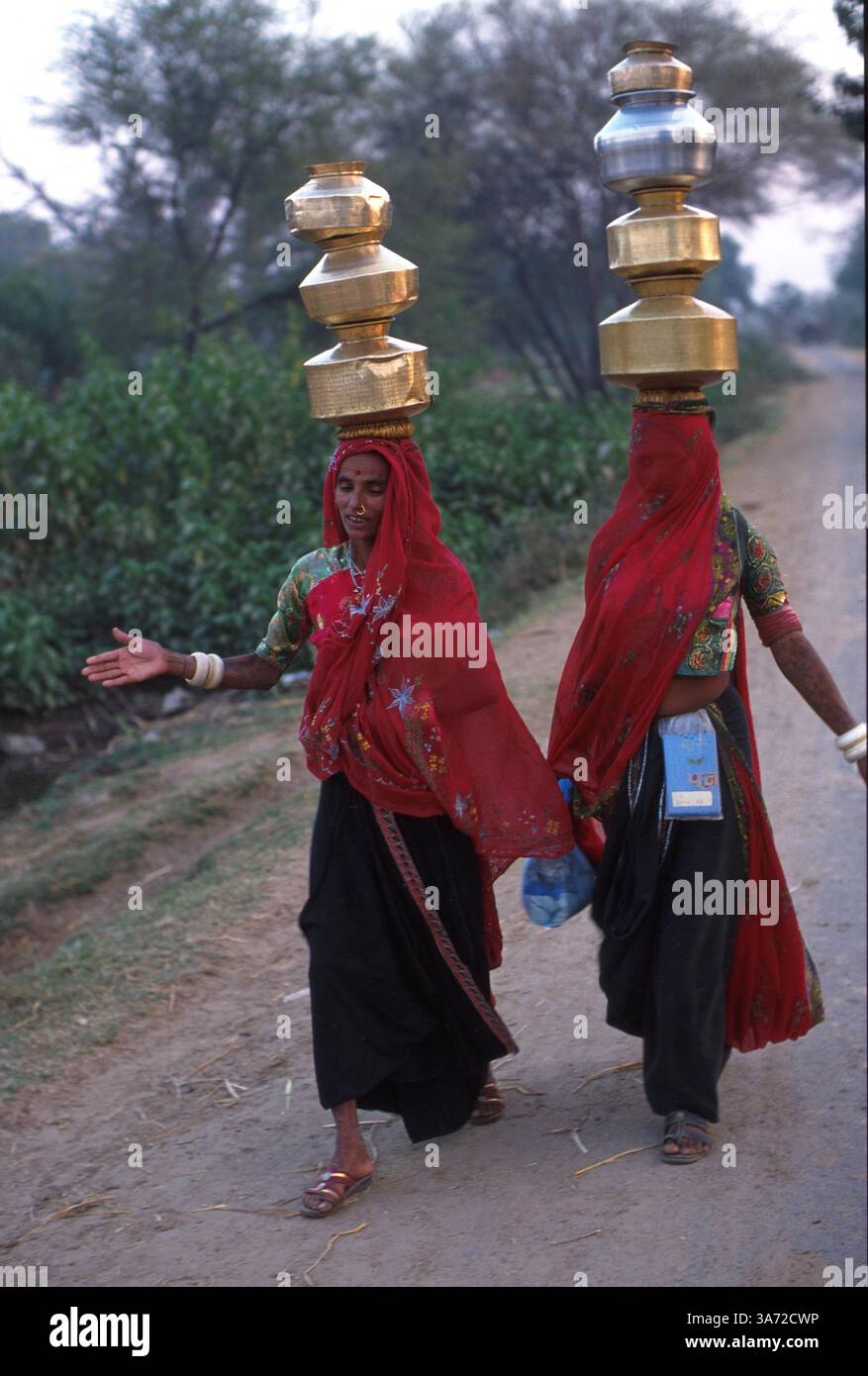 JANVIER 1, 2011 - CES FEMMES DU VILLAGE CHARGENT À LA TÊTE DES CONTENANTS DE LAIT. CES CONTENEURS EN LAITON SONT REMPLIS ET AMENÉS À LA COOPÉRATIVE LAITIÈRE DU VILLAGE DEUX FOIS PAR JOUR, APRÈS LA TRAITE DE LEUR BÉTAIL. UNE POCHETTE EN PLASTIQUE PEUT ÊTRE VUE PORTÉE PAR LA FEMME À DROITE. CE SACHET CONTIENT DES ENREGISTREMENTS DE LA QUANTITÉ DE LAIT QU'ELLE DONNE À LA COOPÉRATIVE. GUJURAT EST UN IMPORTANT PRODUCTEUR DE PRODUITS LAITIERS ET CHOCOLATÉS. ICI, DANS LE VILLAGE DE RUN DANS LA CAMPAGNE DE L'ÉTAT DE GUJURAT, À ENVIRON 60 MILES AU SUD D'AHMEDABAD. CE VILLAGE ABRITE UNE TRADITION Banque D'Images