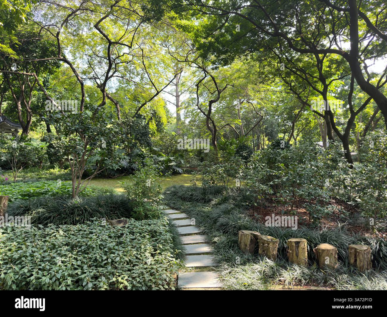 Un beau chemin de jardin avec des marches en pierre mène à travers un paysage luxuriant, vert et vibrant. Banque D'Images