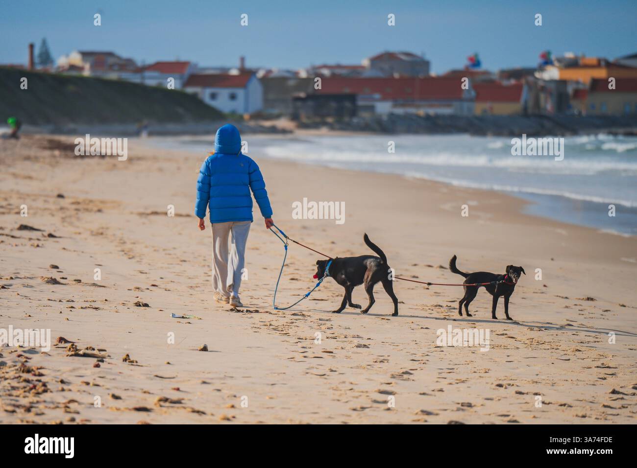 Femme marchant avec ses chiens de jeu sur la plage de Peniche, Portugal Banque D'Images