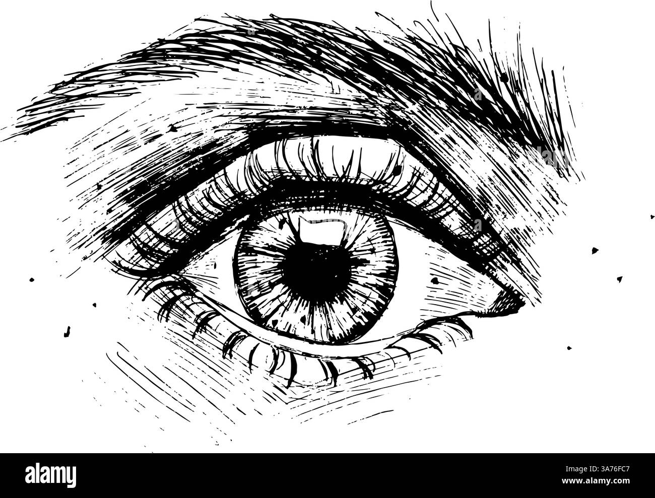 Oeil dessiné par pinceau à encre. Signe vectoriel de l'oeil humain. Illustration d'encre graphique vectorielle de l'oeil des femmes Illustration de Vecteur