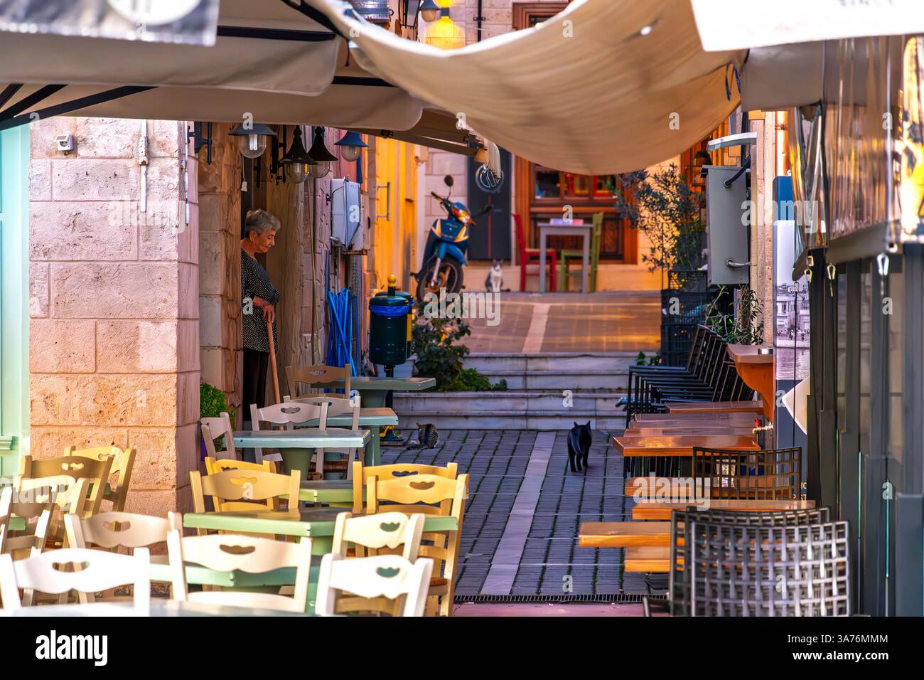 Une femme grecque plus âgée sort d'un petit café de trottoir pour nourrir et regarder les chats errants dans une petite ruelle couverte dans un village touristique de Grèce. Banque D'Images