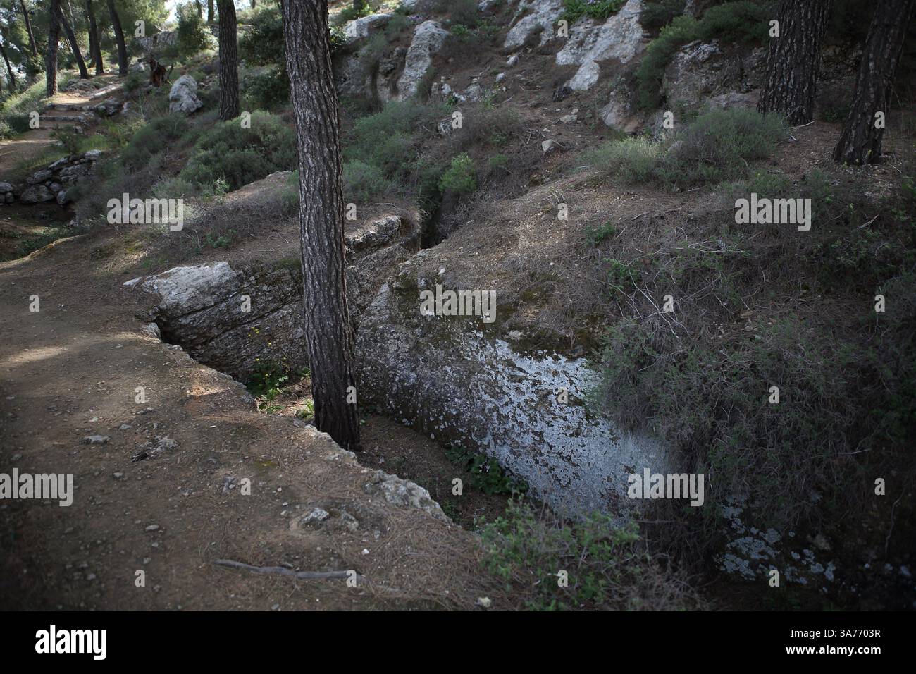 Une tranchée construite et creusée par les soldats ottomans pendant la 1ère Guerre mondiale pour défendre leur avant-poste où aujourd'hui la forêt de Jérusalem est sur le mont Herzl, Jérusalem. Banque D'Images