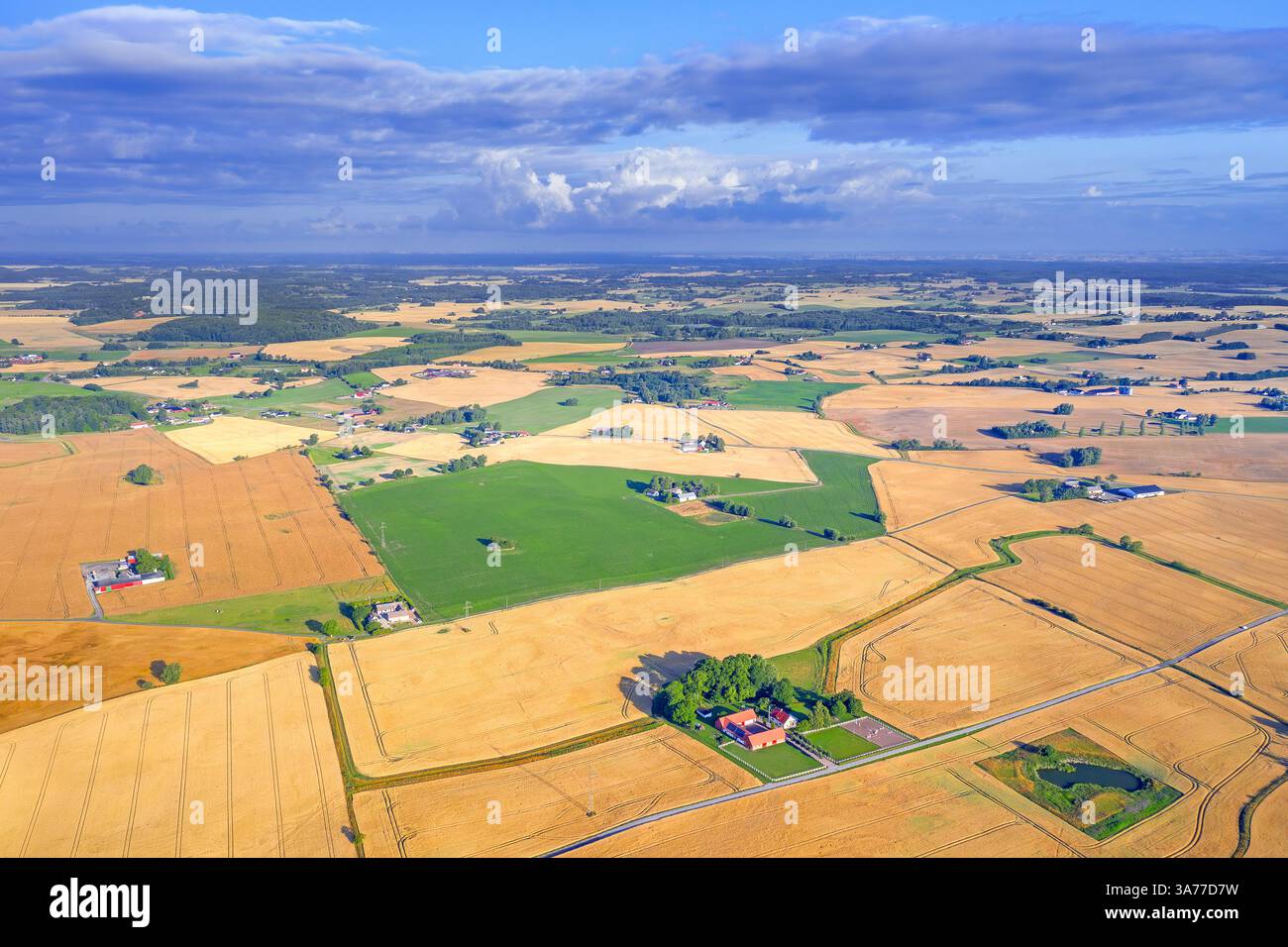 Vue aérienne sur les champs de blé agricole, les prairies, les terres agricoles et les fermes dans le comté de Skåne län / Scania, province la plus méridionale de la Suède, Scandinavie Banque D'Images Vue aérienne sur les champs de blé agricole, les prairies, les terres agricoles et les fermes dans le comté de Skåne län / Scania, province la plus méridionale de la Suède, Scandinavie Banque D'Images