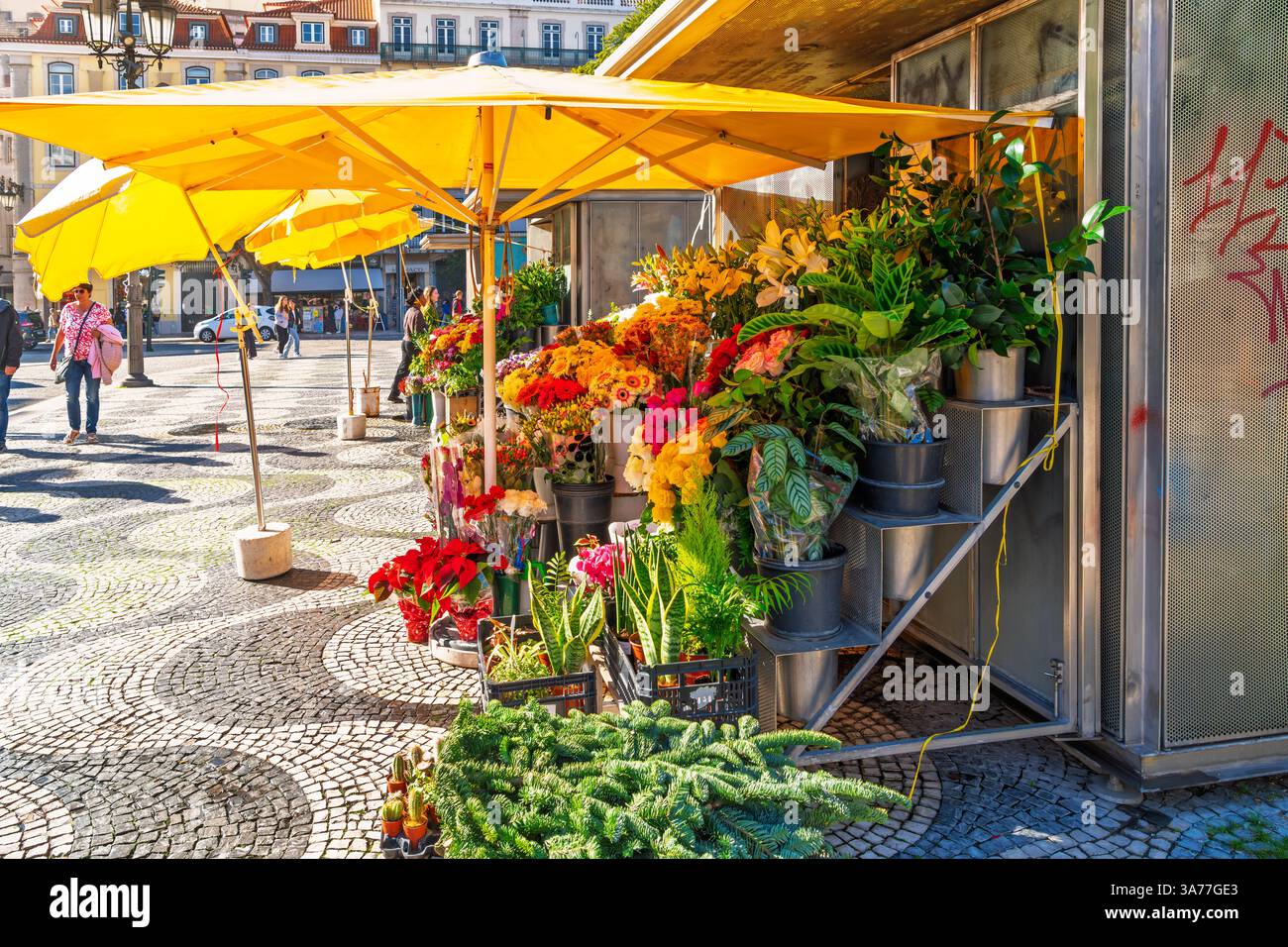 Ancienne charrette à bras Photo Stock - Alamy