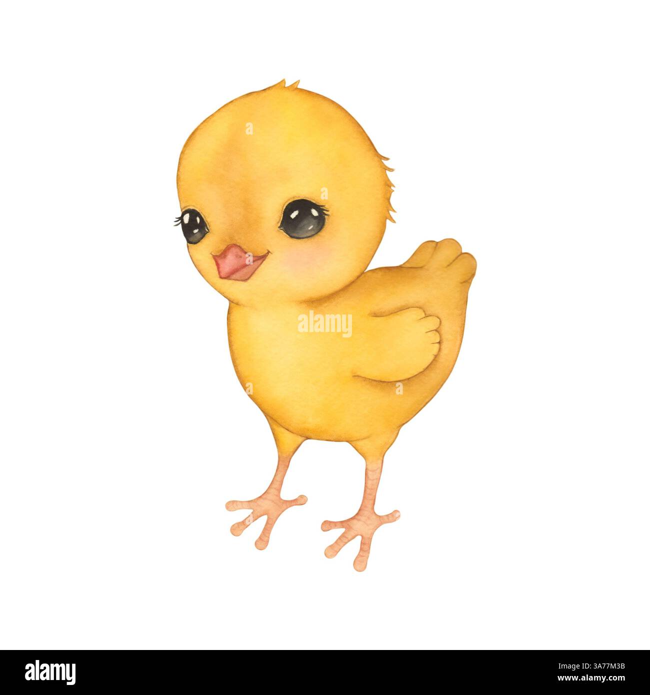 Une illustration aquarelle peinte à la main d'un bébé poussin. Parfait pour les conceptions de Pâques et de printemps, y compris les cartes de vœux, invitations, affiches et fès Banque D'Images