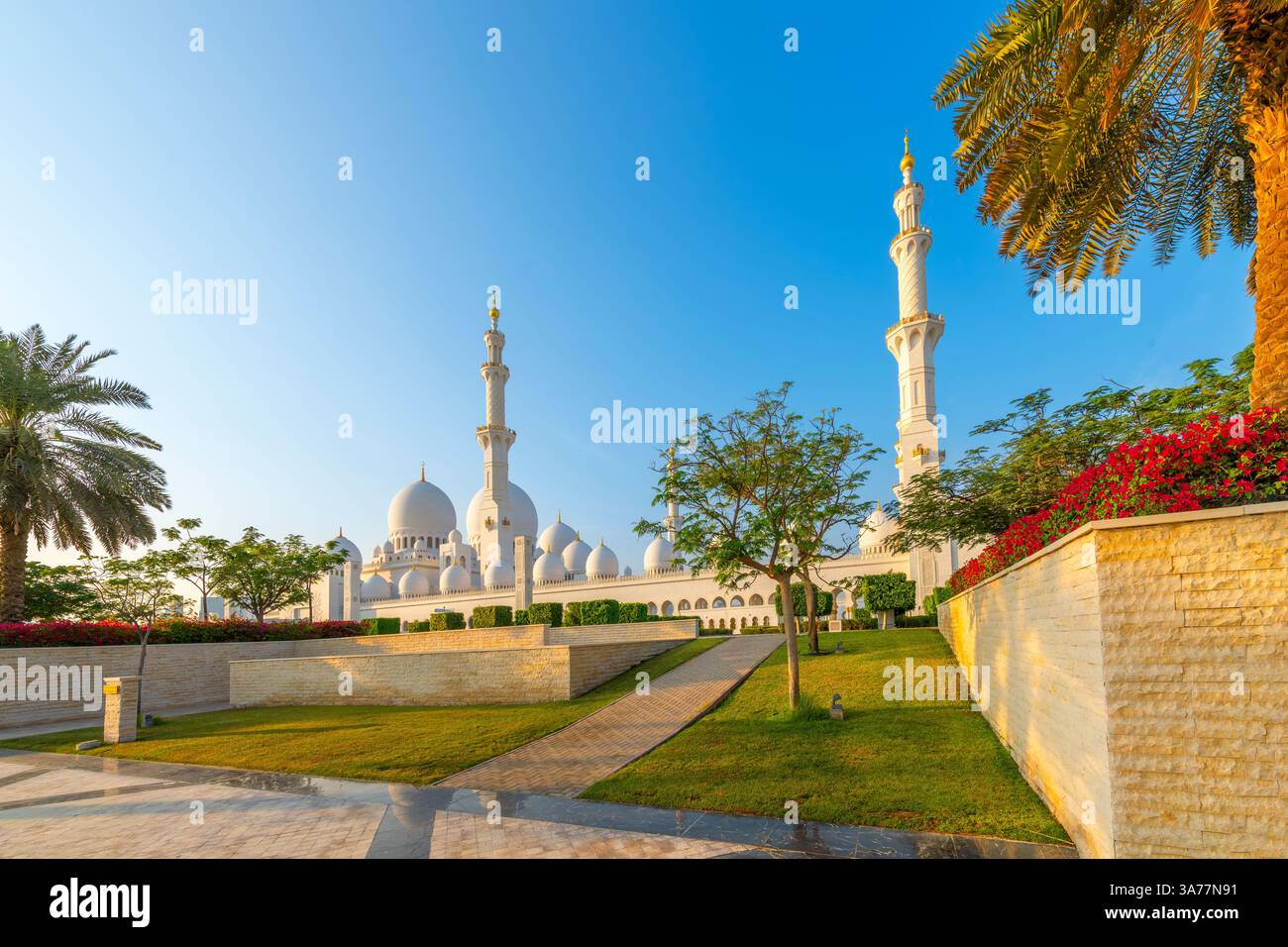 Vue de la Grande Mosquée Sheikh Zayed, la plus grande mosquée des Émirats arabes Unis, depuis un jardin à Abu Dhabi, Émirats arabes Unis. Banque D'Images