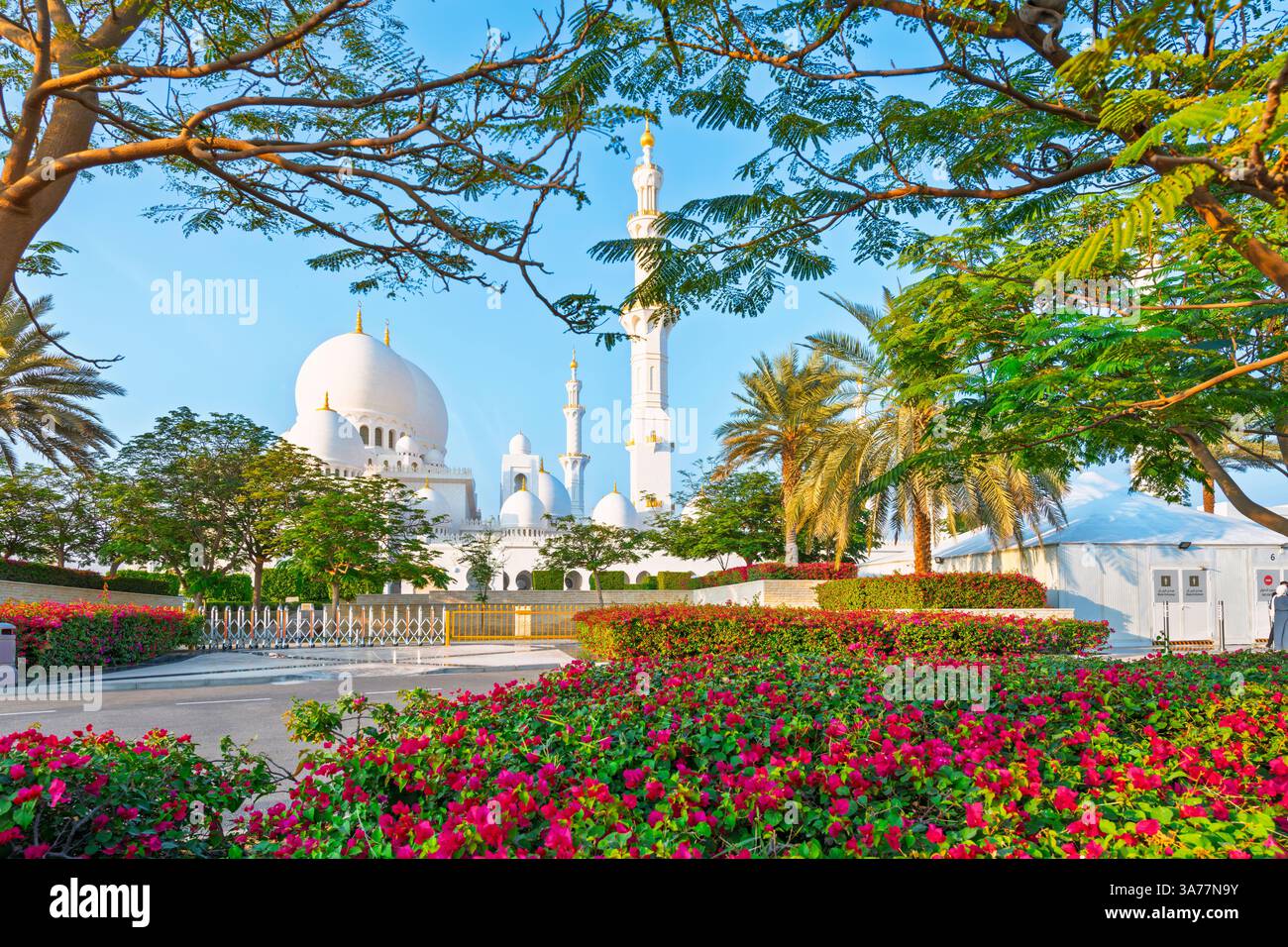 Vue de la Grande Mosquée Sheikh Zayed, la plus grande mosquée des Émirats arabes Unis, depuis un jardin à Abu Dhabi, Émirats arabes Unis. Banque D'Images