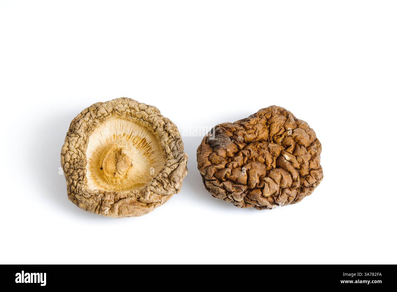 Cette vue détaillée de champignons shiitake séchés sur blanc met en valeur leurs textures robustes et leurs tons chauds et terreux, reflétant la beauté authentique de th Banque D'Images