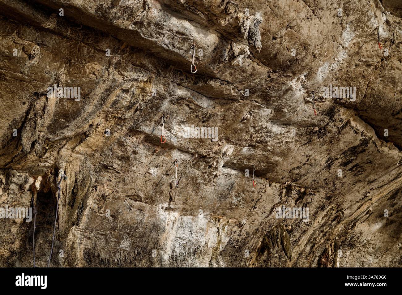 Escaladant des tirages rapides clipsés dans un mur de calcaire surplombant à Tonsai, en attendant la prochaine ascension Banque D'Images