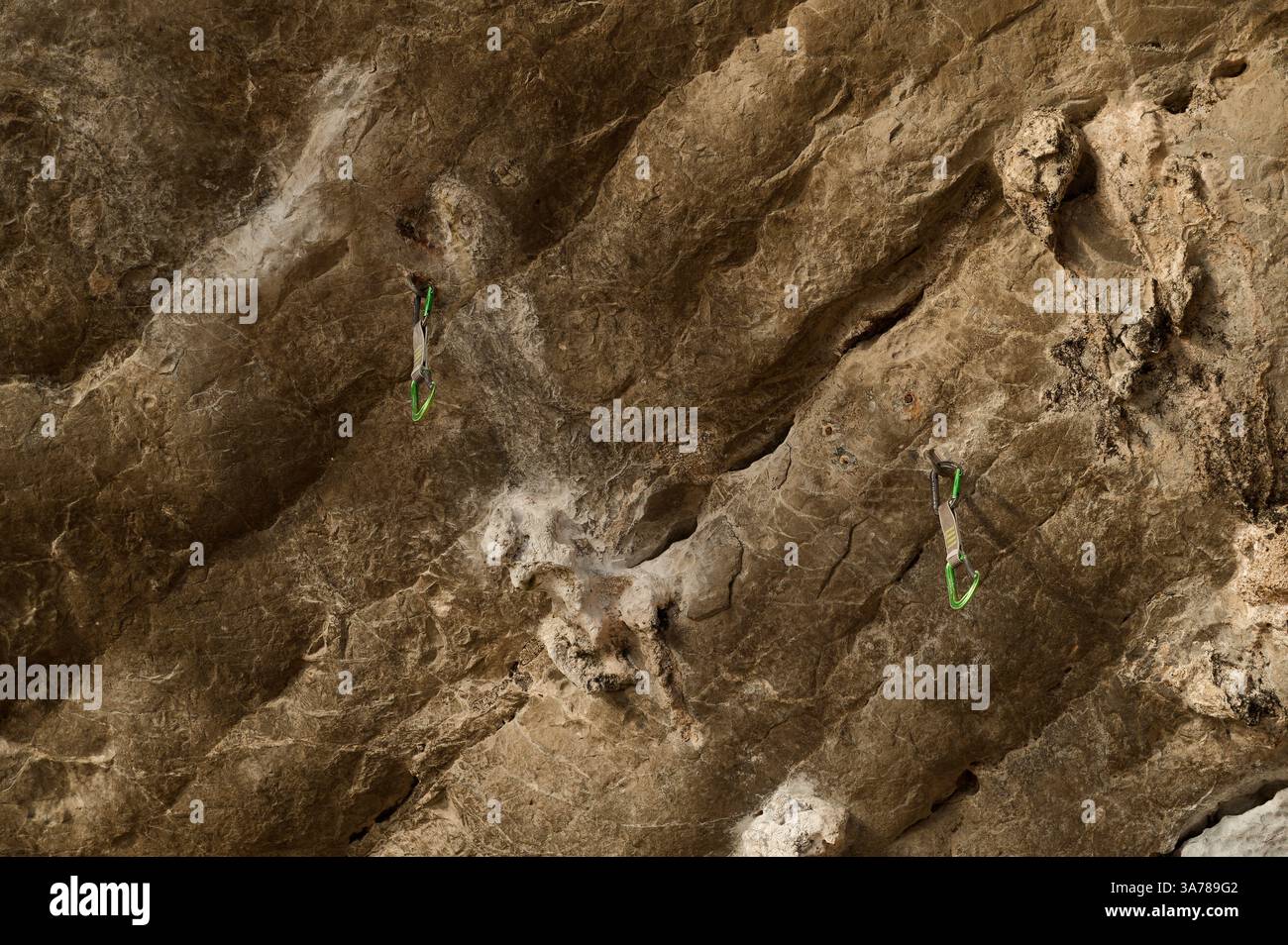 Deux rapides vertes clipsées dans le mur de calcaire accidenté de Tonsai, marquant le chemin d'une route d'escalade Banque D'Images