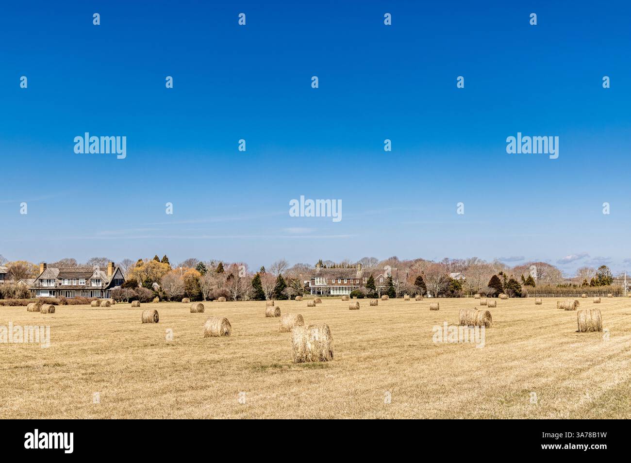 balles de foin séchées dans un champ de sagaponack un jour d'hiver Banque D'Images