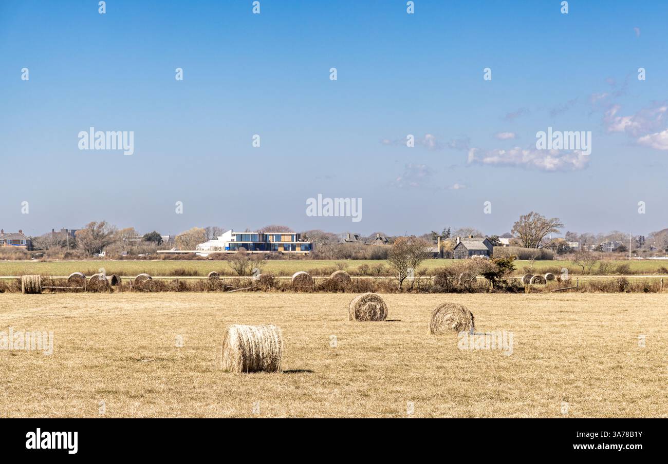 balles de foin séchées dans un champ de sagaponack un jour d'hiver Banque D'Images