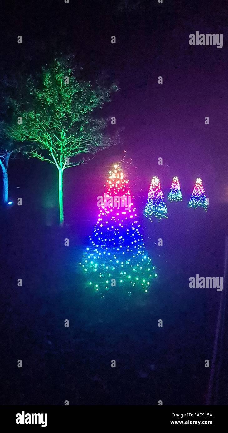 Noël au zoo de Marwell - Image de stock capturée avec un smartphone