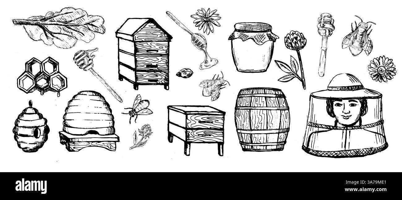 Croquis de ruche, pots de miel, pots, abeille et cuillère à goutteur. Apiculteur, peigne. Dessin vintage pour la production de miel isolé sur fond blanc. Illustration de Vecteur
