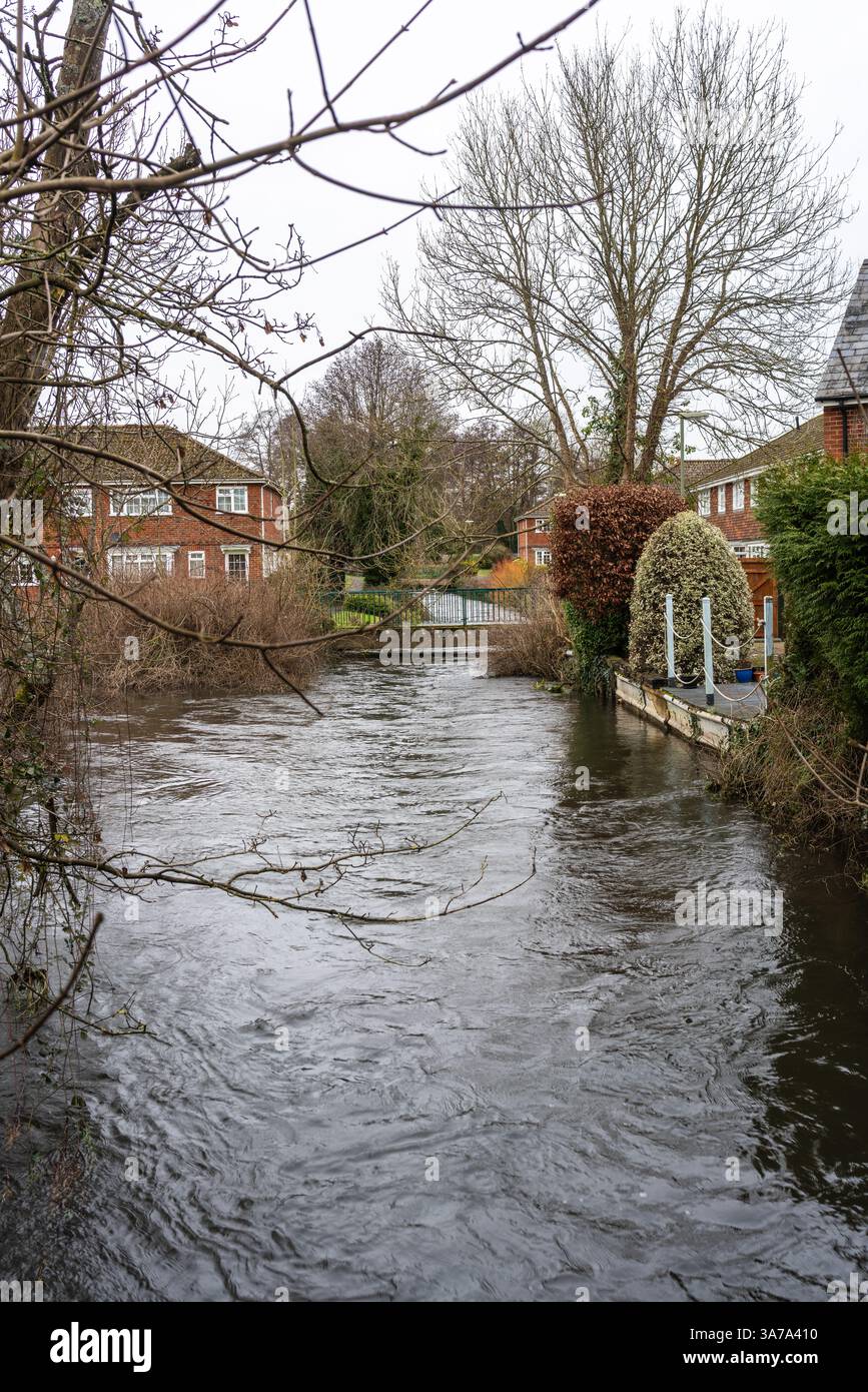 River test dans un quartier résidentiel de Romsey en janvier 2025, Romsey, Hampshire, Angleterre, Royaume-Uni Banque D'Images