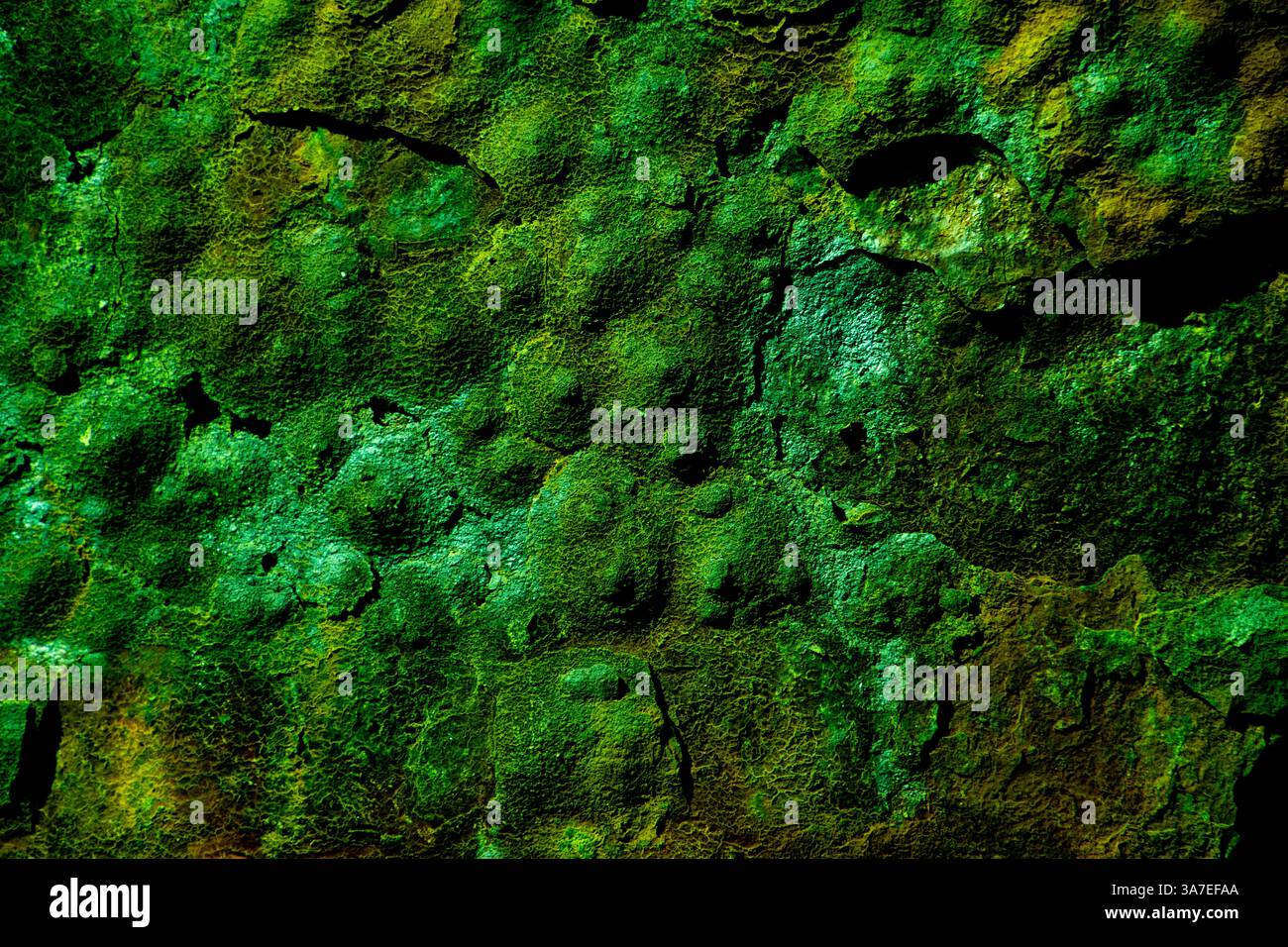 Texture abstraite vive avec des nuances de vert, représentant des motifs naturels et organiques dans les moindres détails. Banque D'Images