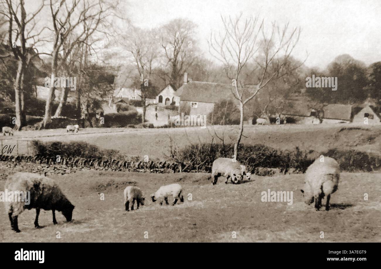 Images de la Grande-Bretagne dans les années 1940 -- pâturage de moutons au hameau de Clee St Margaret près de Ludlow, Royaume-Uni en 1940. Banque D'Images