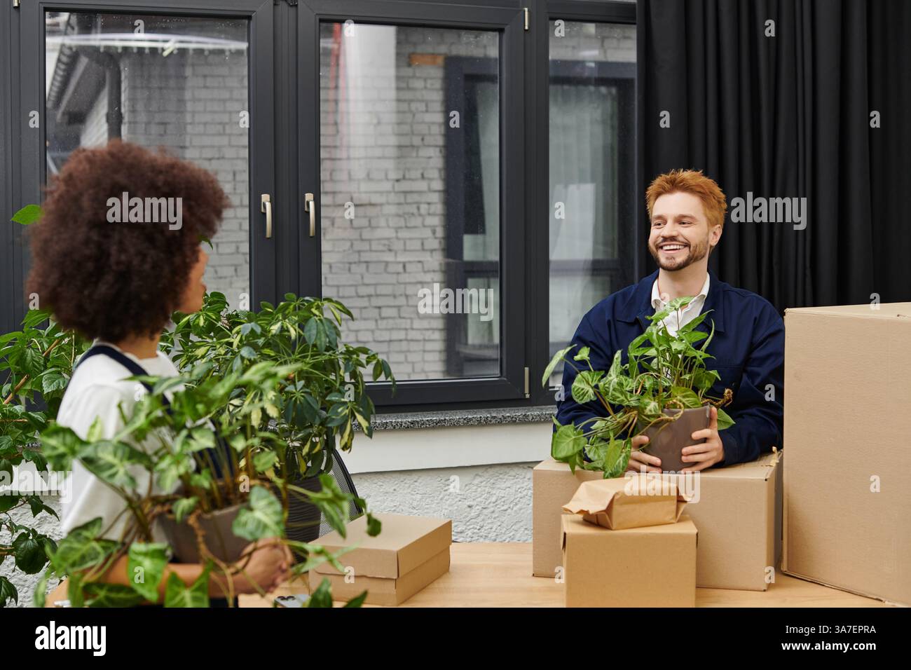 Deux personnes emballent et déballent joyeusement les plantes d'intérieur dans un espace moderne. Banque D'Images