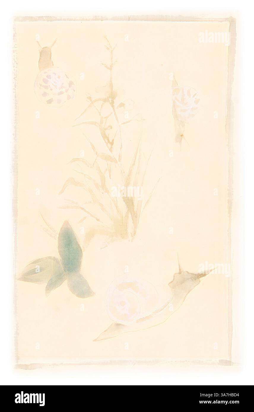 Une composition délicate avec des représentations douces et abstraites des escargots et de la vie végétale, évoquant un sentiment de tranquillité et la beauté subtile de la nature., Art classique avec une touche moderne réinventée par Artotop, croquis d'escargots, plante fleurie, 1864/68, Édouard Manet, français, 1832-1883, France, Aquarelle sur crayon graphite sur papier couché crème Banque D'Images
