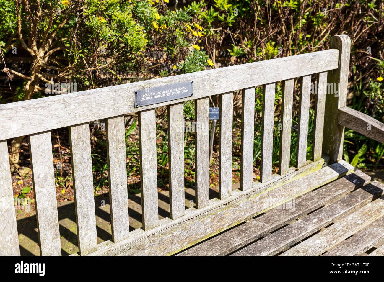 Banc mémorial, mémorial sur banc, Royaume-Uni, Angleterre, banc mémorial, bancs commémoratifs, plaque sur banc, banc en bois, plaque commémorative, mémorial, plaque Banque D'Images
