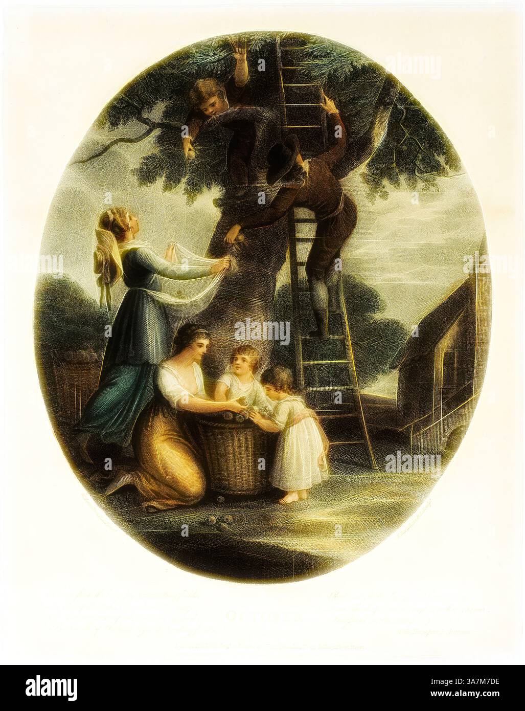 Une scène représentant une activité familiale dans un cadre rural : adultes et enfants se rassemblent autour d'un arbre, avec une personne grimpant pour atteindre les branches tandis que d'autres aident en ramassant les fruits tombés dans des paniers. L'atmosphère transmet un sentiment de communauté et de liens familiaux., Art classique avec une touche moderne réinventé par Artotop, octobre, 30 août 1793, Francesco Bartolozzi (Italien, 1727-1815), d'après William Hamilton (anglais, 1751-1801), publié par John et Josiah Boydell (anglais, XVIIIe siècle), Italie, gravure en pointillés de couleur sur papier Banque D'Images