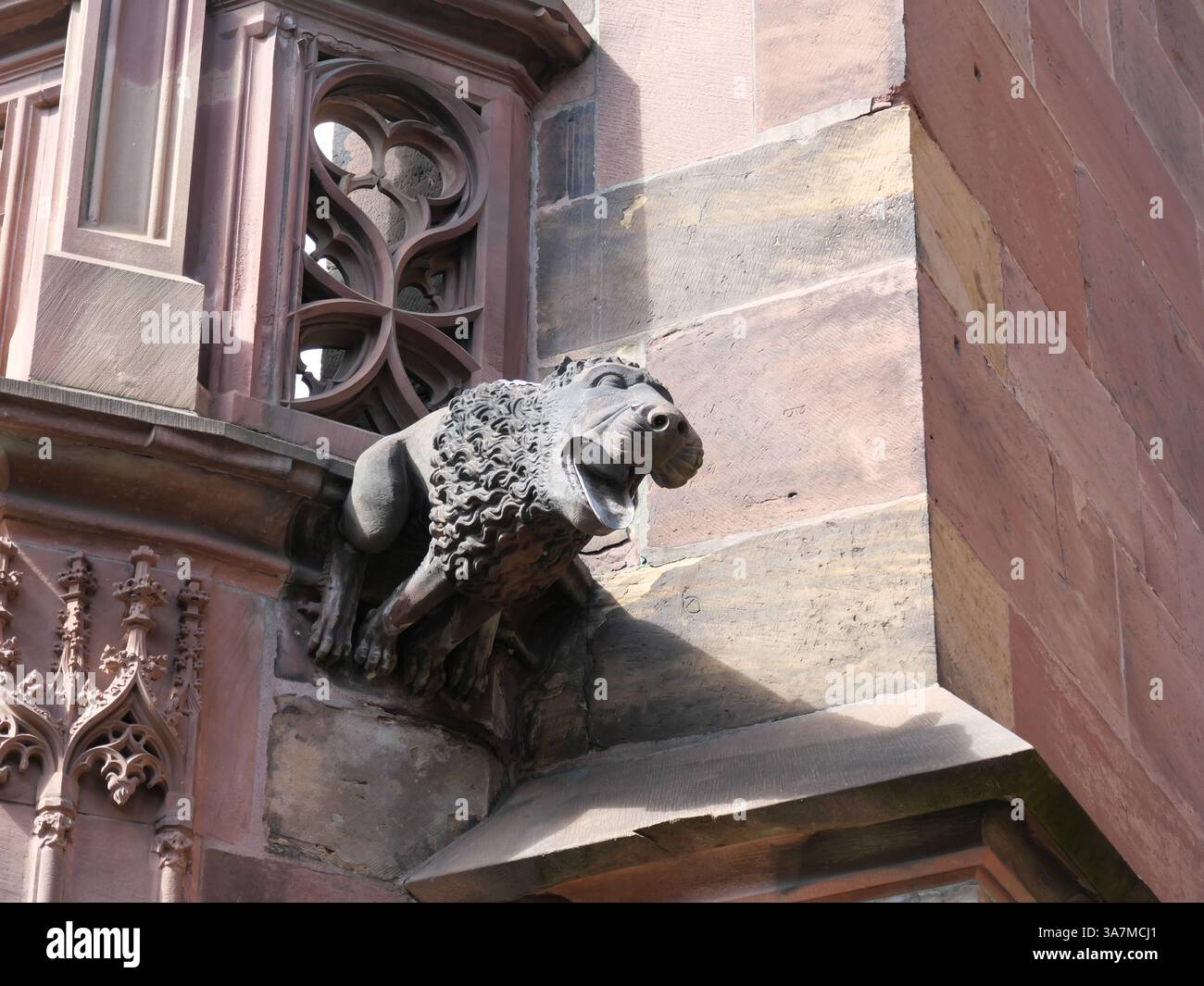 Gargouille gothique comme un lion à la cathédrale de Strasbourg (Alsace, France) Banque D'Images
