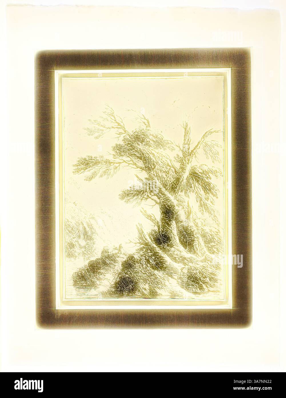 Une illustration détaillée montre un arbre noueux avec des branches torsadées, placé contre un paysage qui transmet une sensation de mouvement et de profondeur. Les éléments environnants suggèrent un environnement dynamique, évoquant un sentiment de beauté brute de la nature., Art classique avec une touche moderne réinventé par Artotop, paysage avec de vieux arbres par l'eau, du premier numéro de spécimens of Polyautography, 1803, Henry Richard Greville, 3e comte de Warwick et Brooke (anglais, 1779–1853), publié par Philipp André (allemand, actif Londres, 1800–1805) et James Heath (anglais, 1757–1834), Royaume-Uni, lithographie en noir Banque D'Images