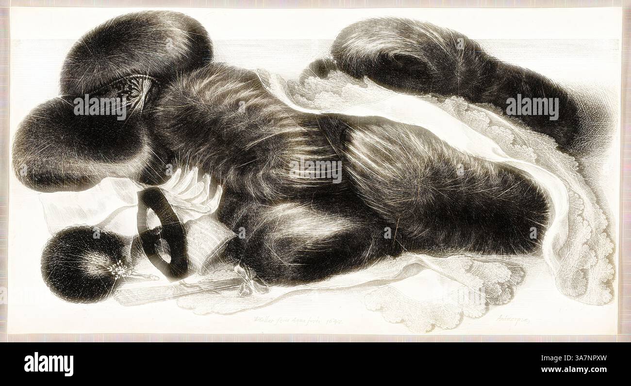 Un arrangement complexe avec des formes texturées qui évoquent un sentiment de mouvement et de fluidité, entouré de couches délicates suggérant un mélange d'éléments naturels et textiles., Art classique avec une touche moderne réinventée par Artotop, nature morte avec un groupe de muffs, une paire de gants et deux Kerchiefs, 1647, Wenceslaus Hollar, Tchèque, 1607-1677, Tchécoslovaquie, gravure en noir sur papier crème Banque D'Images