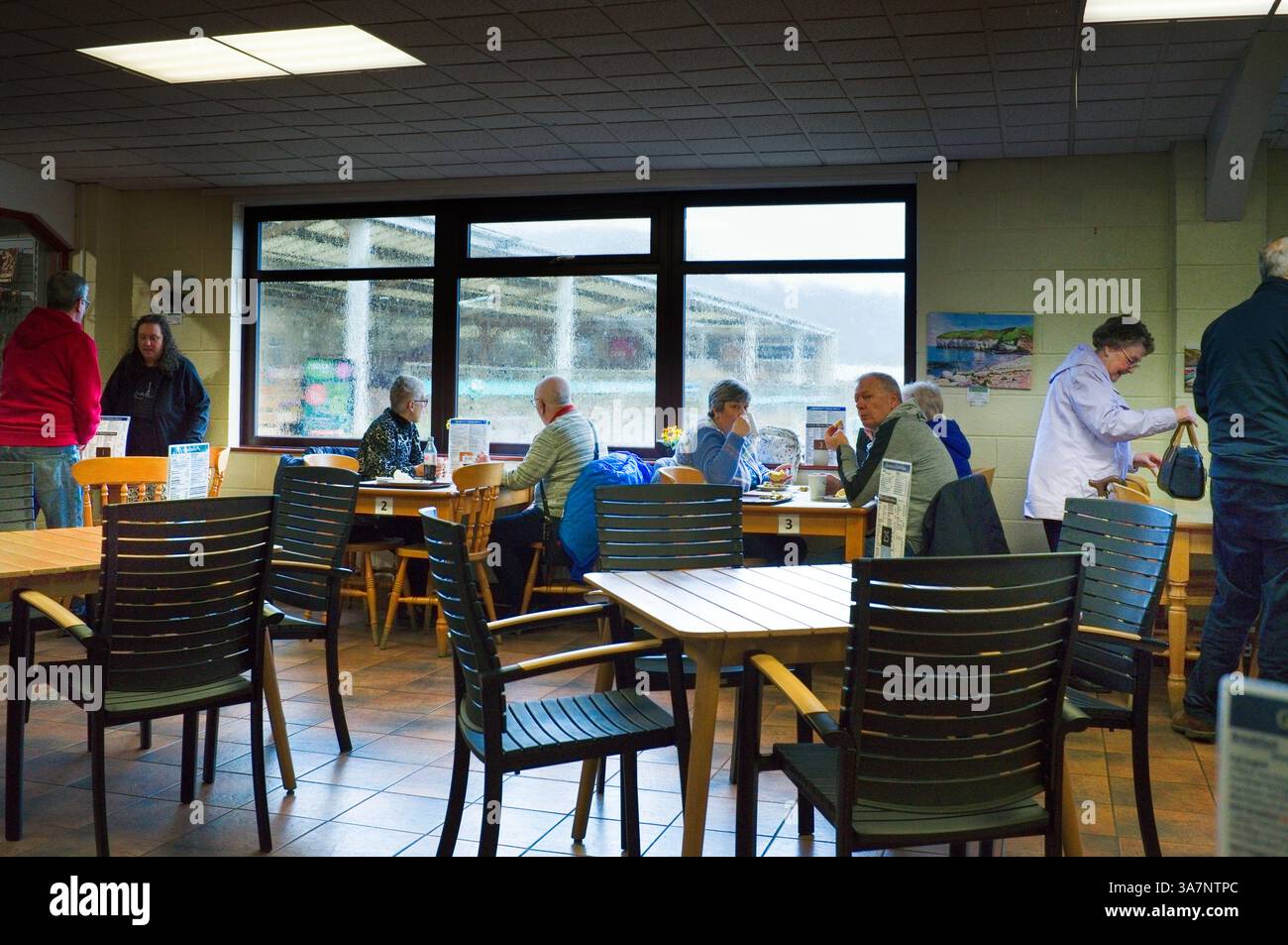 Un matin pluvieux dans un café dans un centre de jardin Banque D'Images