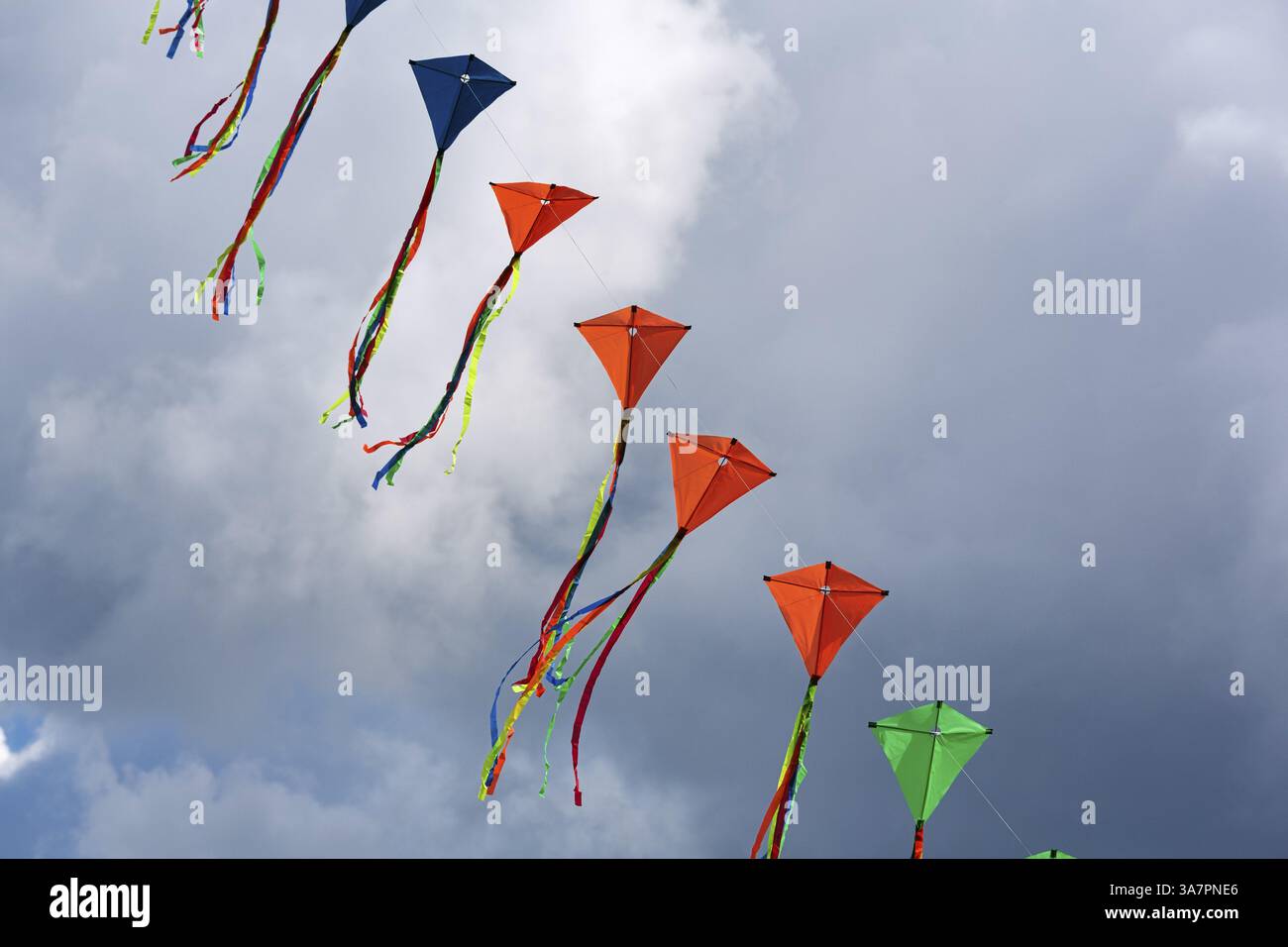 Cerfs-volants colorés volants dans le ciel, guirlande, festival de cerfs-volants à Vinsebeck, Steinheim, Eggebirge et parc naturel de la forêt du sud de Teutoburg Banque D'Images
