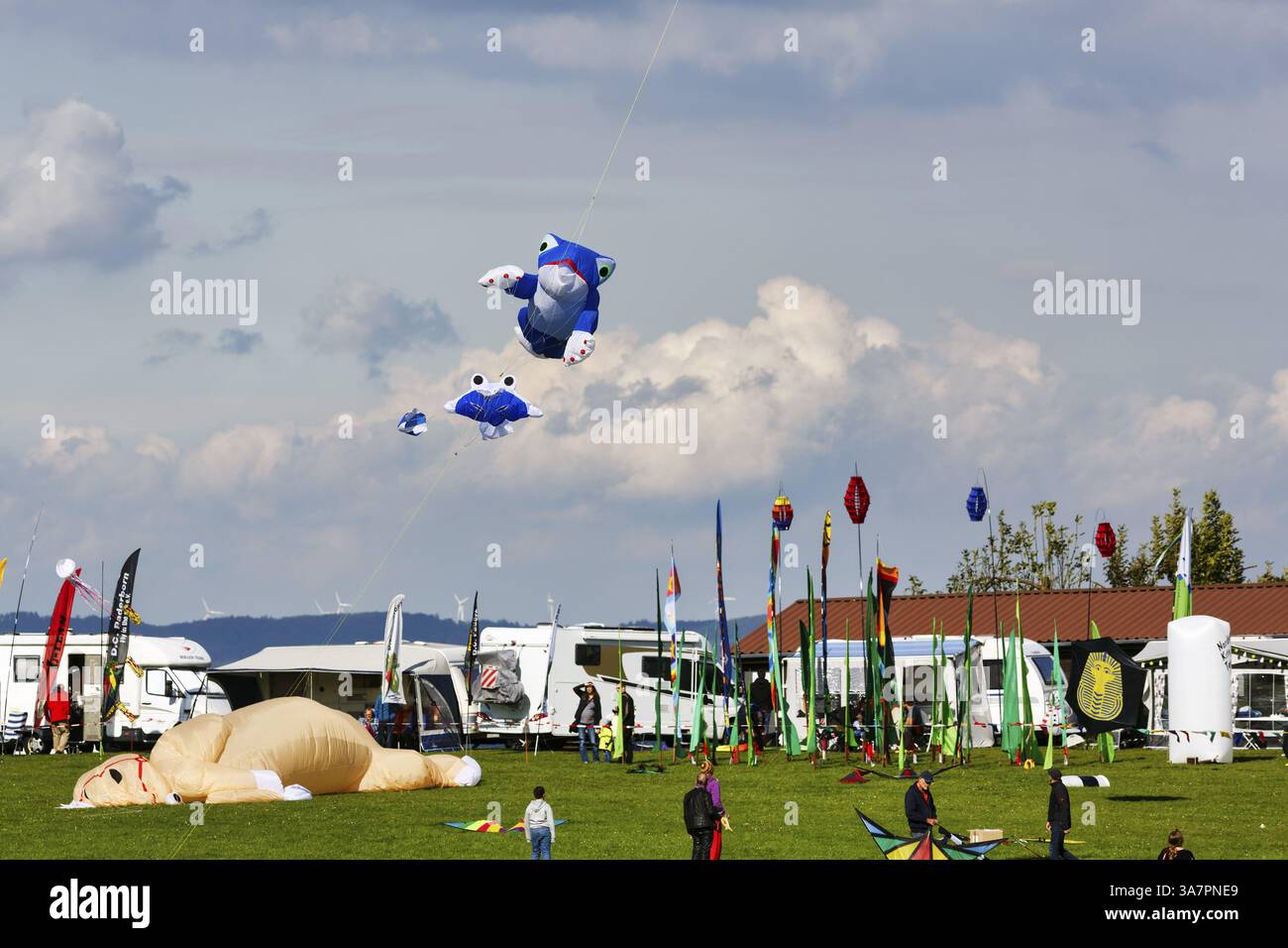Cerfs-volants volant dans le ciel, grenouille bleue et têtard, mobil-homes au festival du cerf-volant à Vinsebeck, Steinheim, parc naturel Eggebirge et sud T Banque D'Images