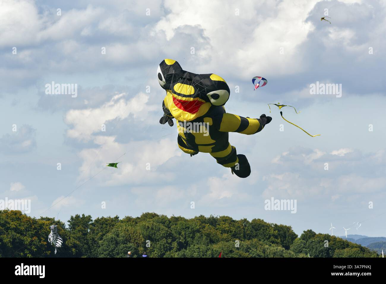 Cerfs-volants, Salamander vole dans le ciel, festival de cerf-volants à Vinsebeck, Steinheim, Eggebirge et parc naturel de la forêt sud de Teutoburg, Weserbergland, Banque D'Images