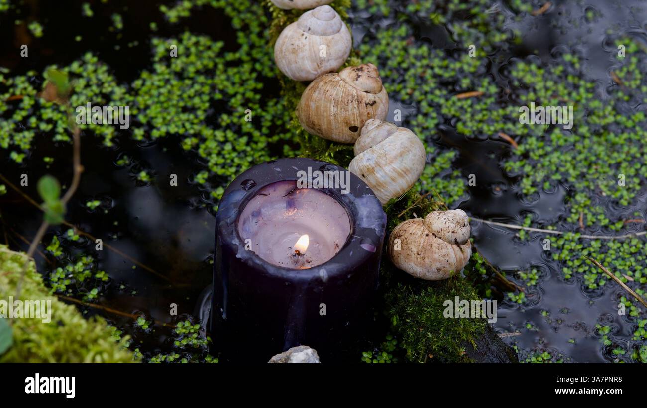 Une bougie noire et une coquille d'escargot dans un étang. Banque D'Images