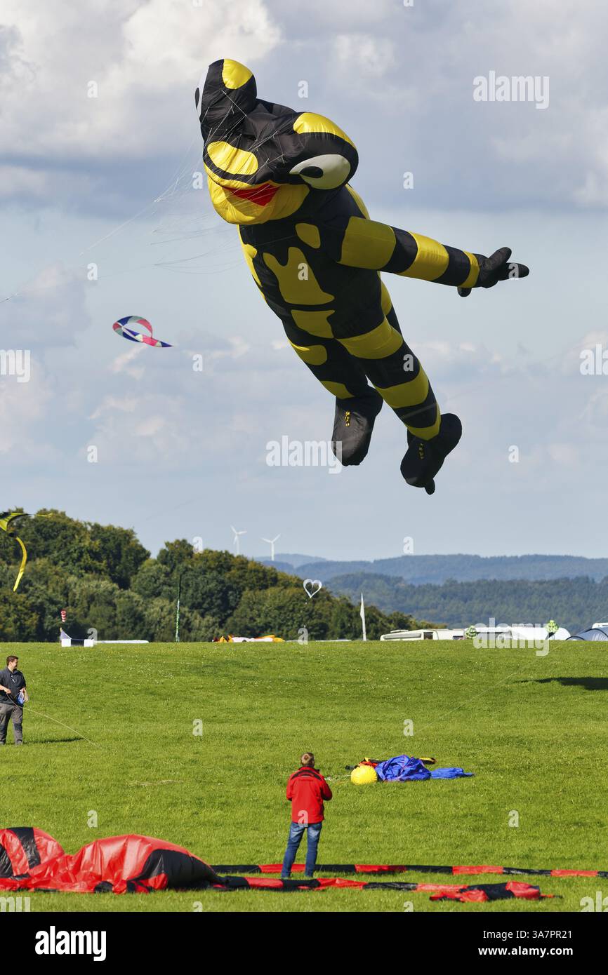 Cerfs-volants, Salamander vole dans le ciel, festival de cerf-volants à Vinsebeck, Steinheim, Eggebirge et parc naturel de la forêt sud de Teutoburg, Weserbergland, Banque D'Images