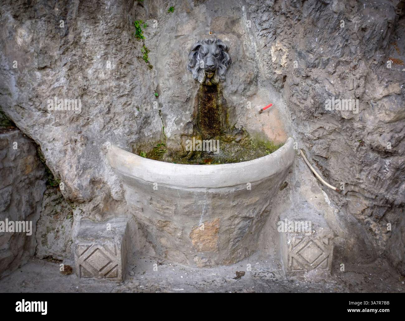 Ancienne fontaine avec tête de gargouille lion sur le chemin / route vers Positano sur la côte amalfitaine, Italie Banque D'Images
