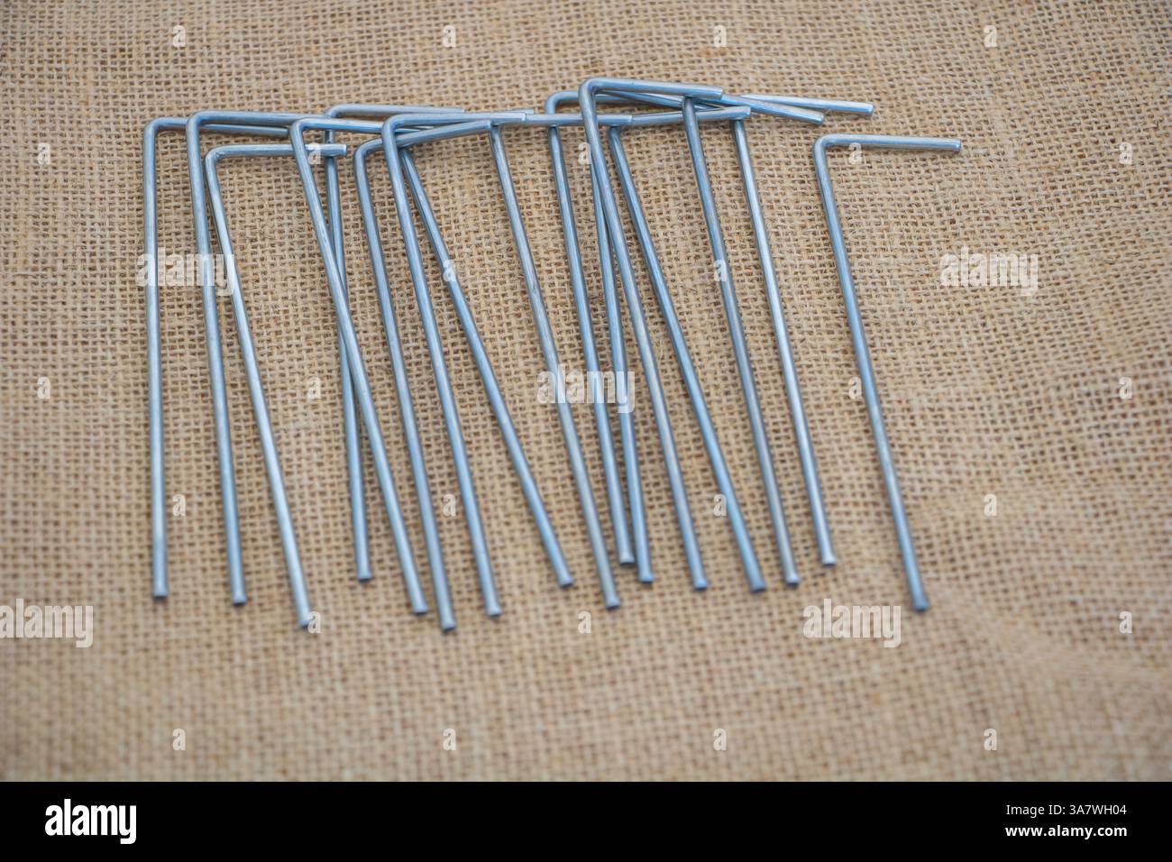 Une collection soigneusement arrangée d'agrafes métalliques en forme de l sur une surface en toile de jute, parfaites pour le jardinage. Banque D'Images Une collection soigneusement arrangée d'agrafes métalliques en forme de l sur une surface en toile de jute, parfaites pour le jardinage. Banque D'Images