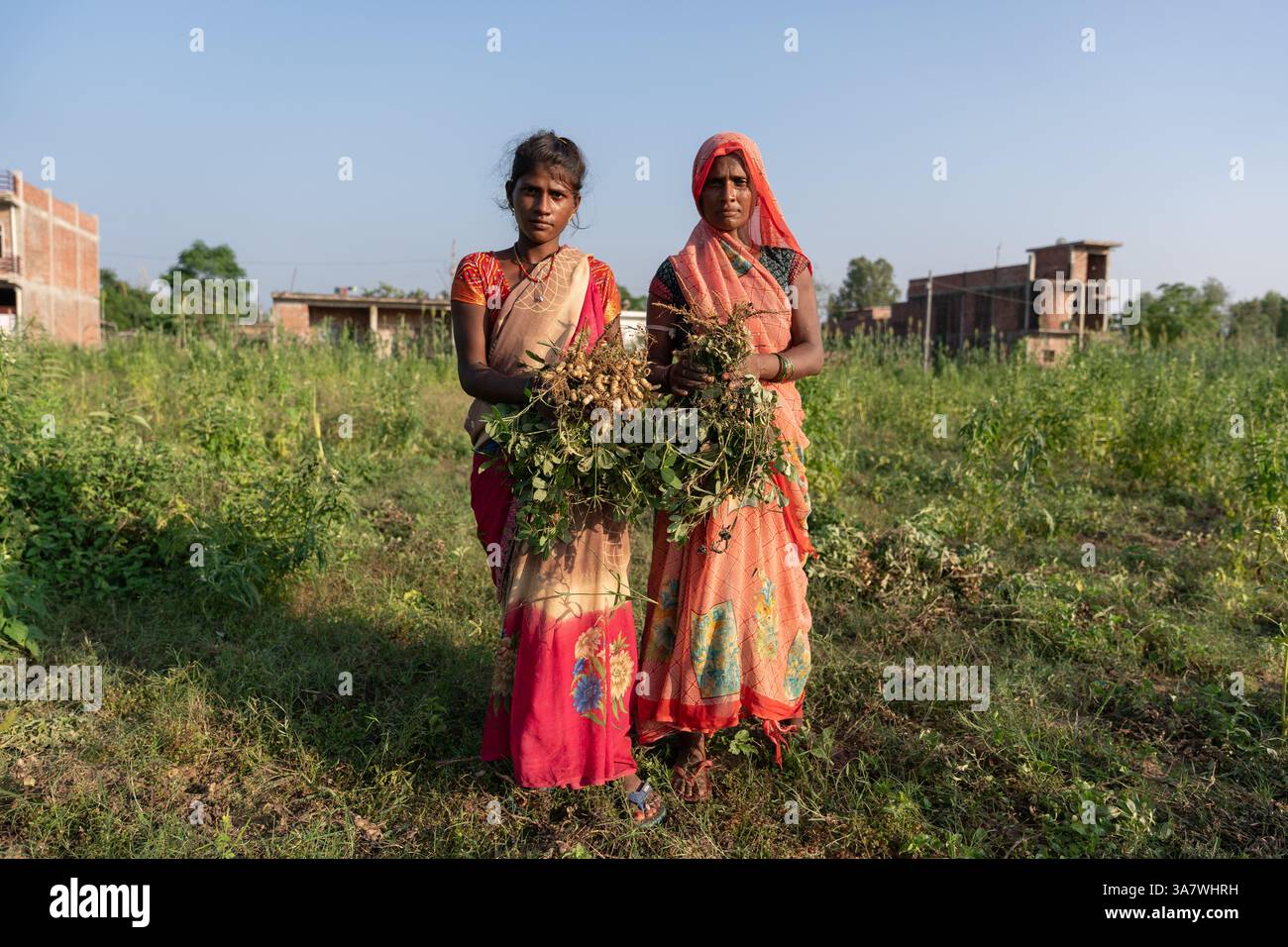 Portrait pleine longueur de deux femmes dans des vêtements colorés traditionnels dans une récolte de plantation d'arachides Banque D'Images