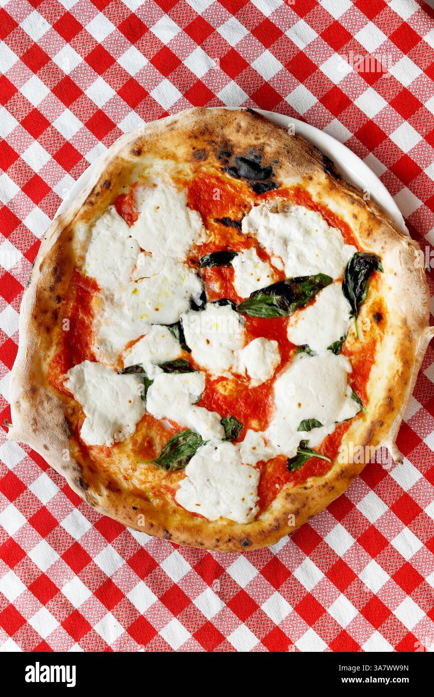 pizza margherita avec fromage de buffle sur une nappe en damier Banque D'Images